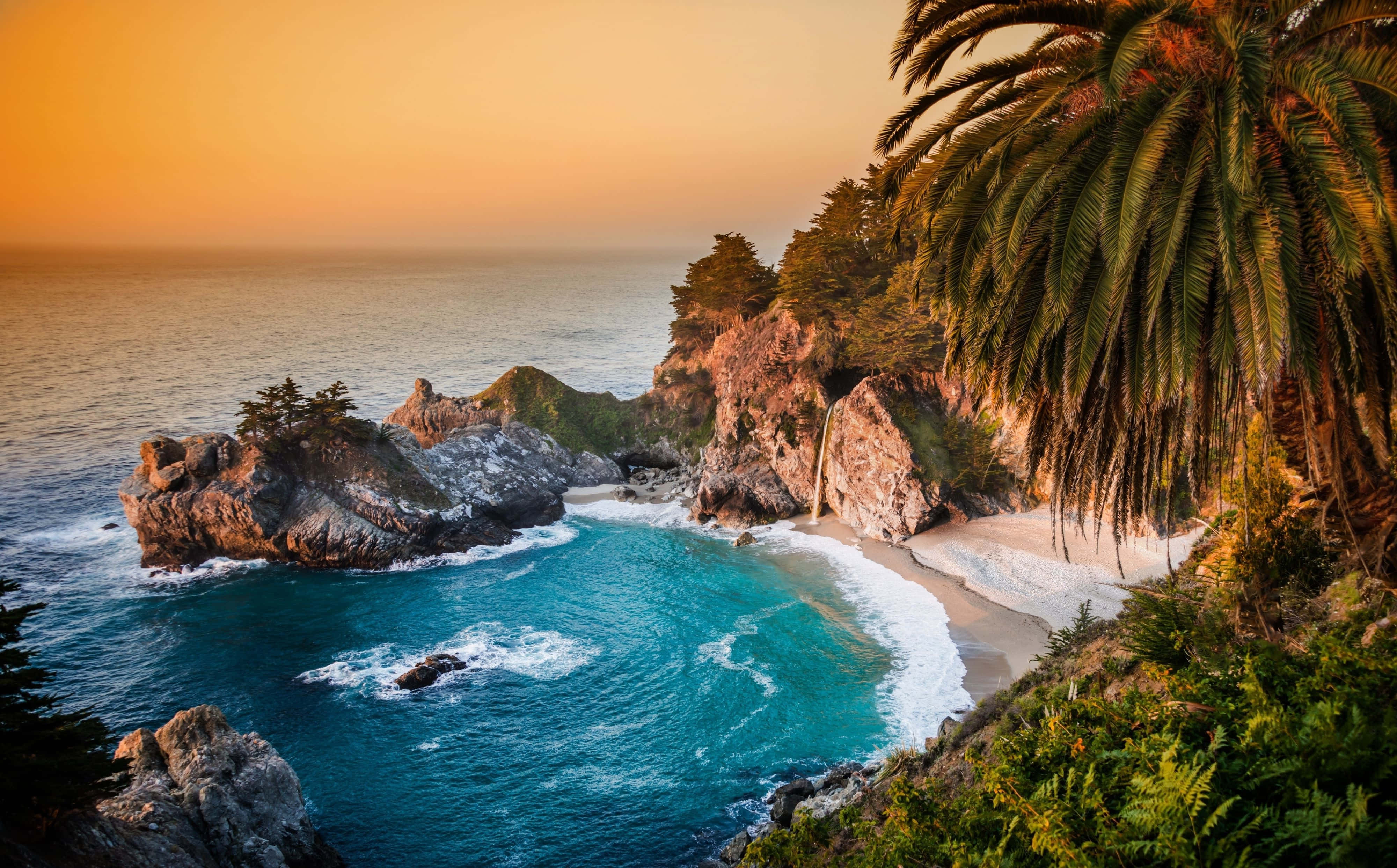 Beautiful Beach 桌布 壁紙 — 金色夕陽灑落在一個僻靜的海灣，碧綠的海水拍打著崎嶇的懸崖和棕櫚樹。
