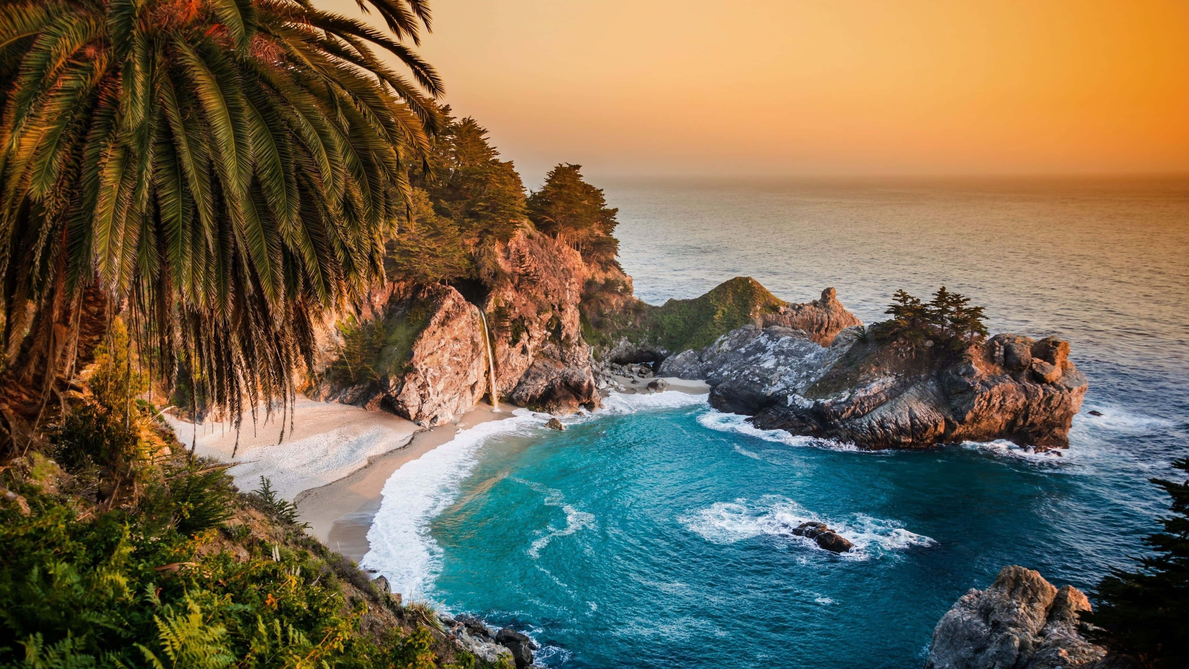 Beautiful Beach 桌布 壁紙 — 金色夕陽灑落在一個僻靜的海灣，碧綠的海水拍打著棕櫚樹環繞的岩石海岸。