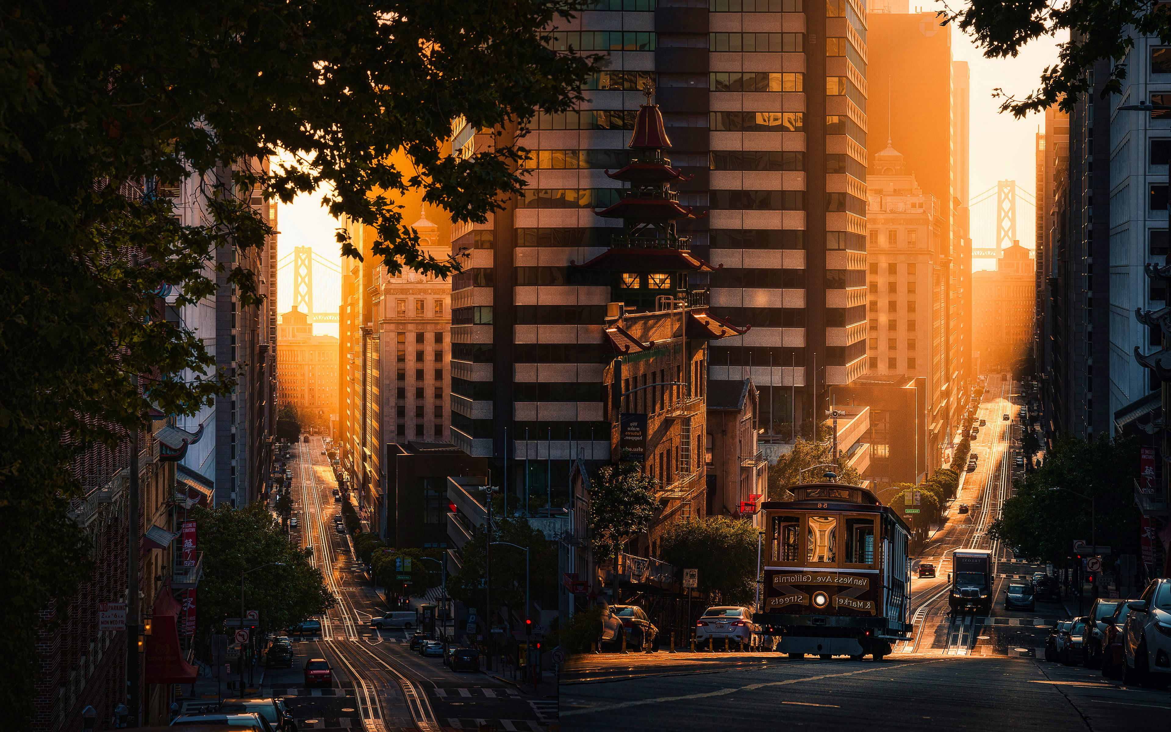 San Francisco Phone 桌布 壁紙 — 金色夕陽灑落在一條繁忙的城市街道上，街道兩旁樹木成蔭，纜車和高聳的建築物沐浴在溫暖的光線中。