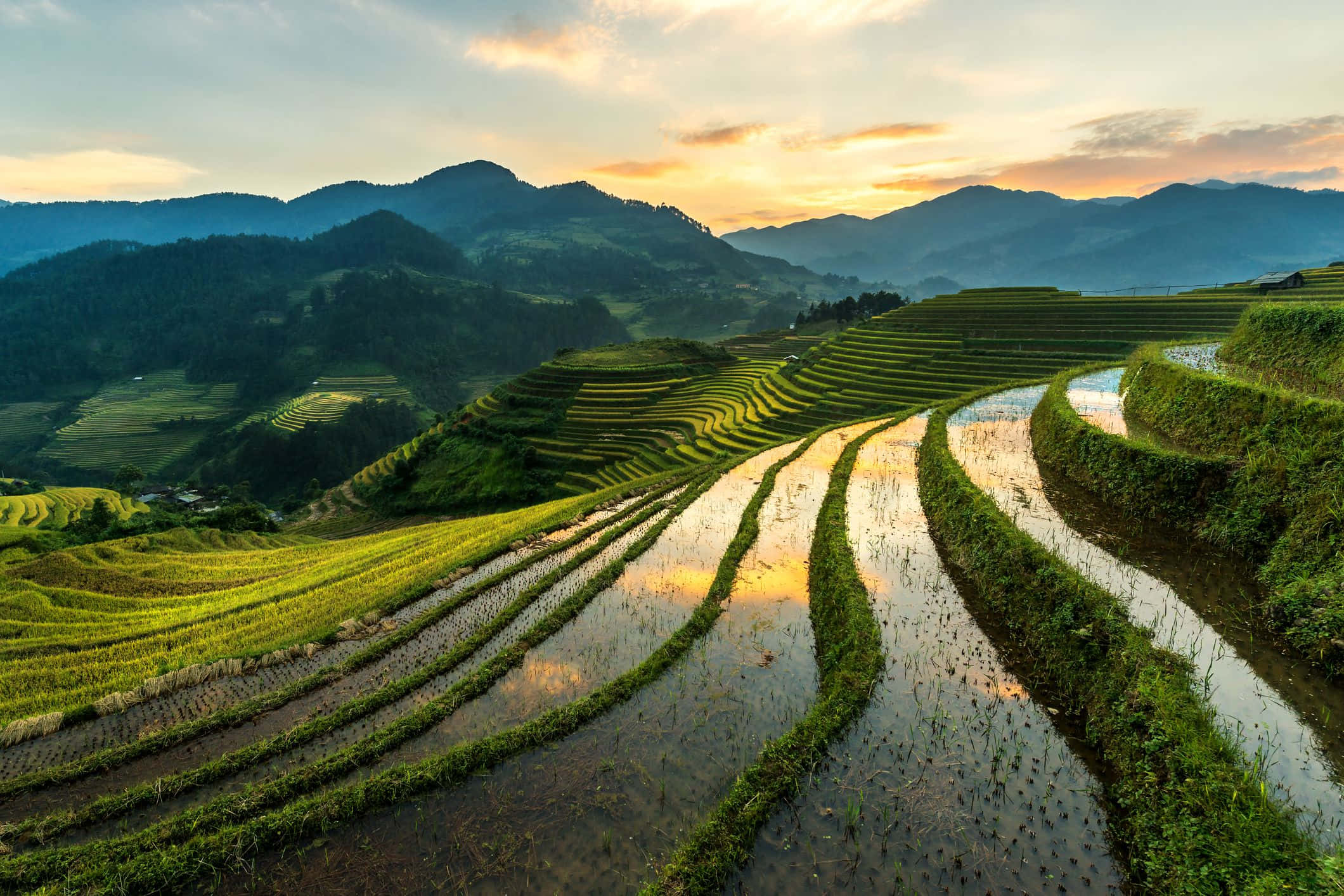 Vietnam 桌布 壁紙 — 金色夕陽照耀著蜿蜒穿過霧氣繚繞山坡的鬱鬱蔥蔥綠色梯田。