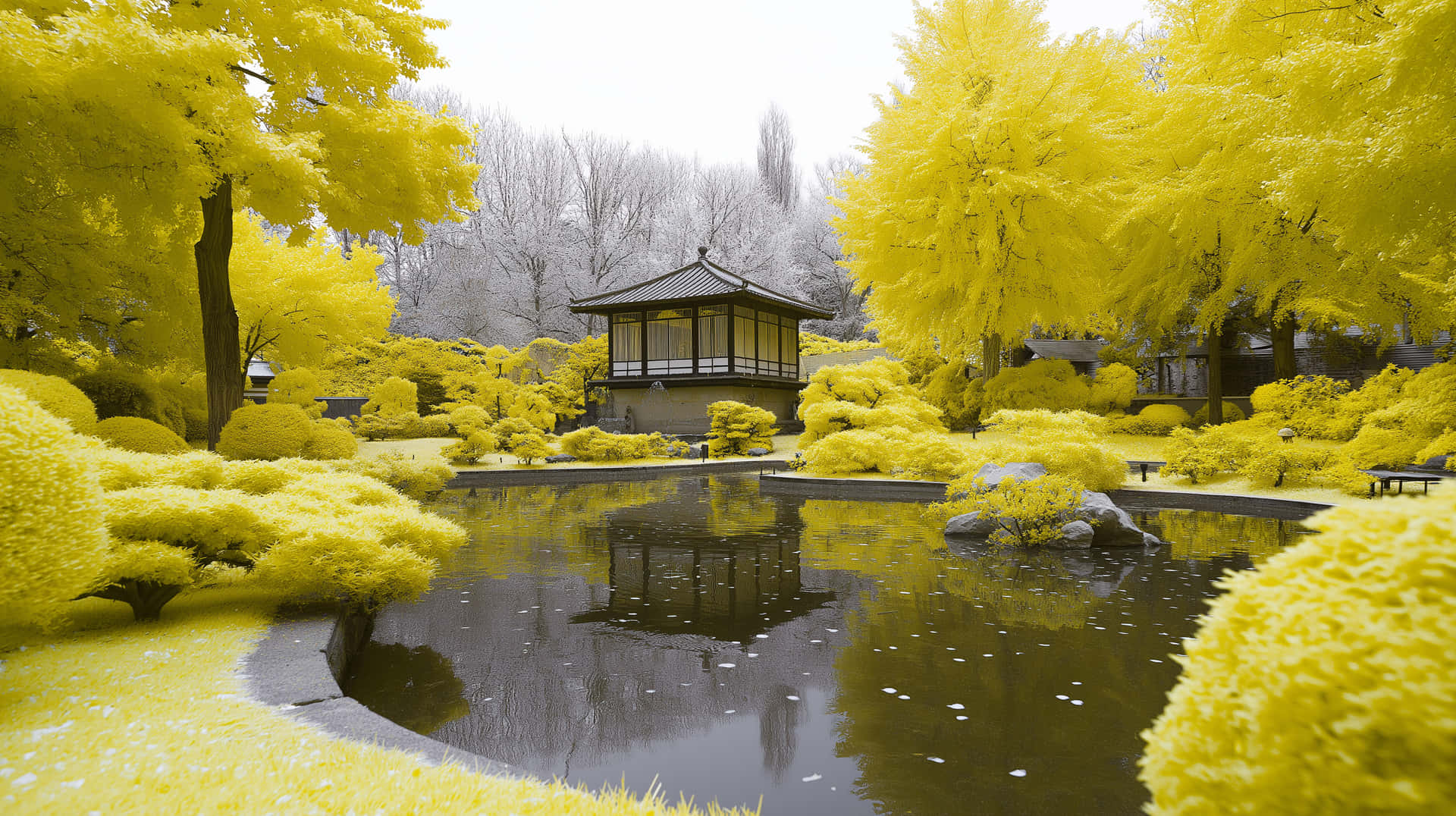 一個日本花園池塘，有一個亭子，周圍環繞著黃色樹木和灰色的冬季樹木