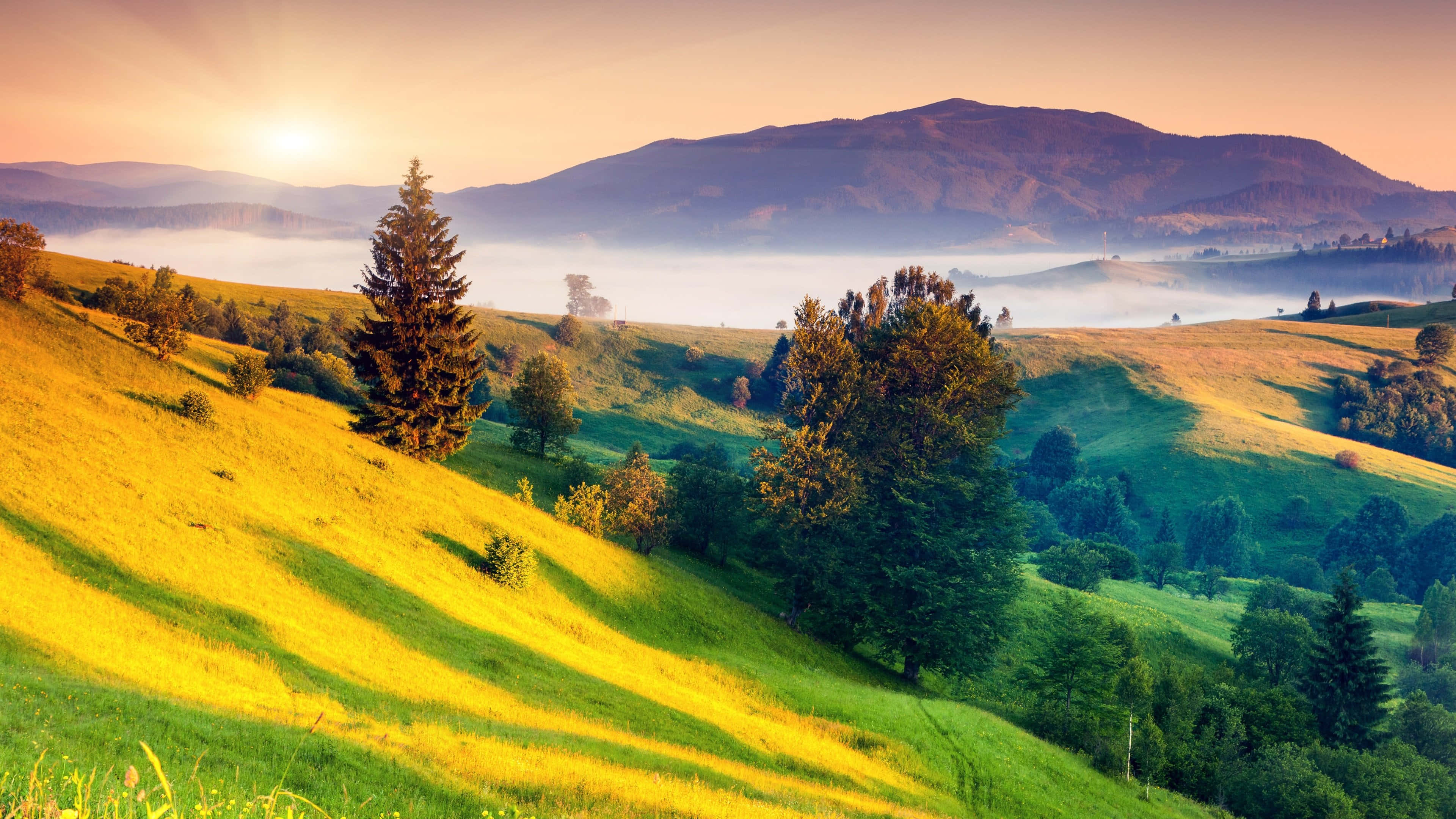 Beautiful Landscape 桌布 壁紙 — 金色日出以溫暖的光芒沐浴著起伏的綠色山丘和霧氣瀰漫的山谷，遠山在柔和的紫色陰影中升起。
