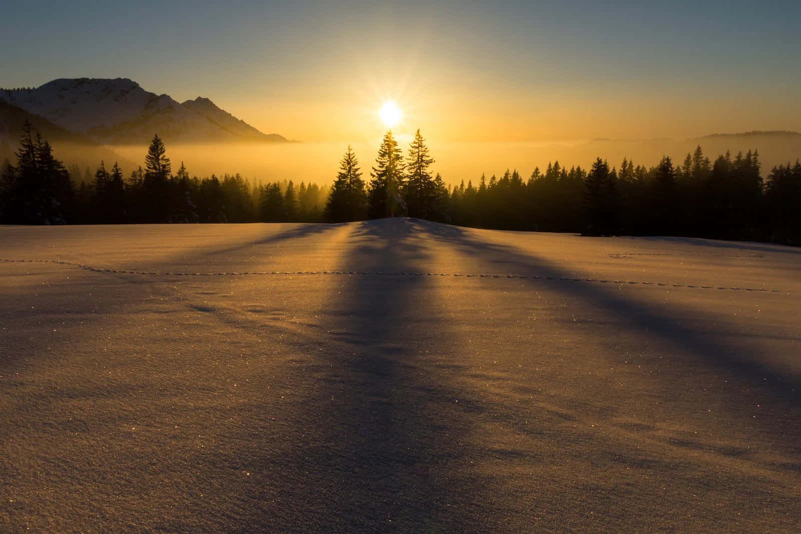 winter solstice 桌布 壁紙 — 金色日出在雪地上投下長長的影子，背景是常綠樹和霧氣繚繞的山脈。