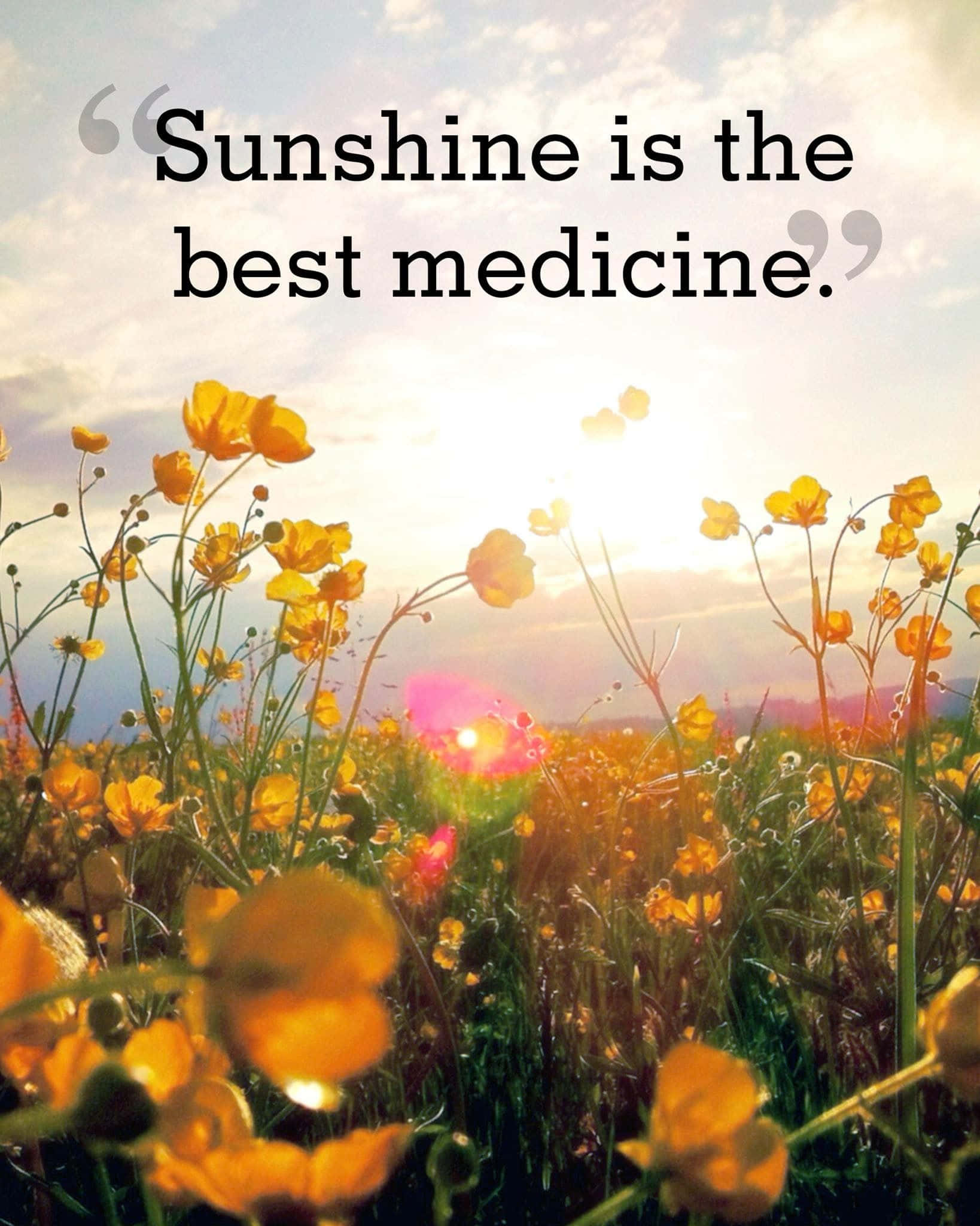 Spring Inspirational 桌布 壁紙 — 金色毛茛在陽光照耀的草地上盛開，溫暖的光線從天空灑落。