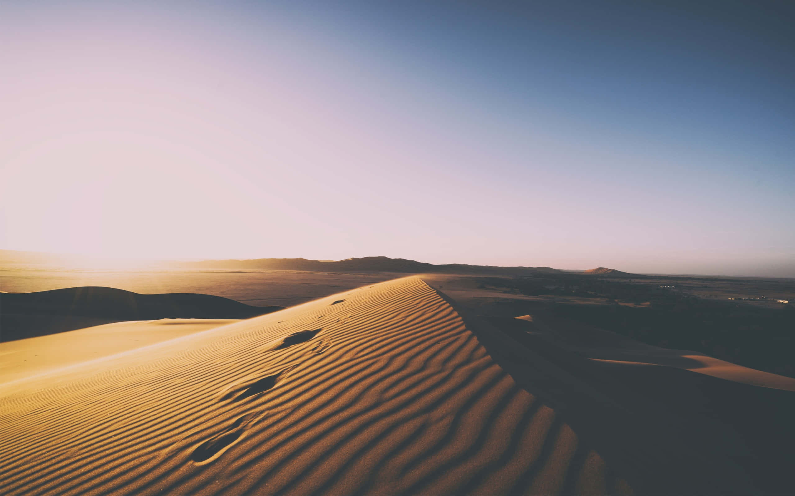 Sand Dunes 桌布 壁紙 — 金色沙丘在柔和嘅日出光线下起伏，清晰嘅腳印通向遙遠嘅地平線。