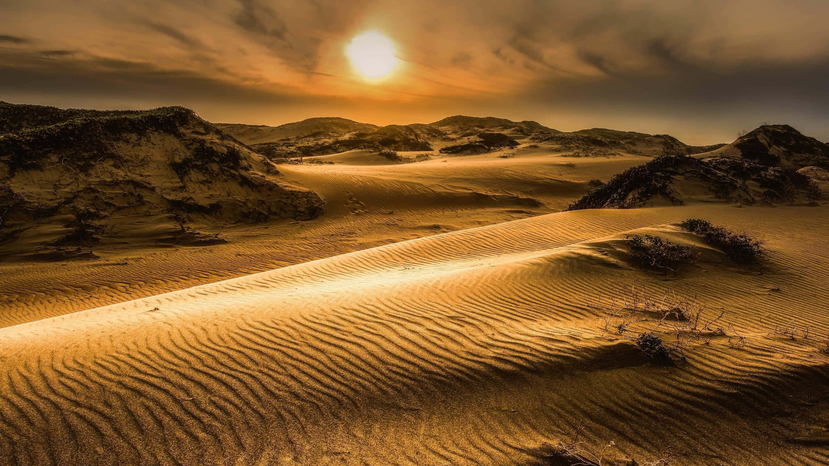 Sand Dunes 桌布 壁紙 — 金色沙丘在溫暖的日落天空下起伏，散落著灌木叢和遠山。