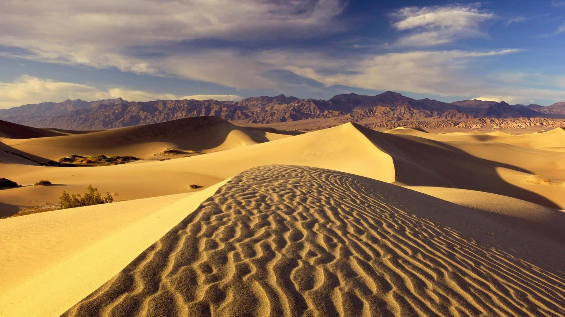 Sand Dunes 桌布 壁紙 — 金色沙丘在溫暖陽光下起伏，遠山和藍天點綴著白雲。