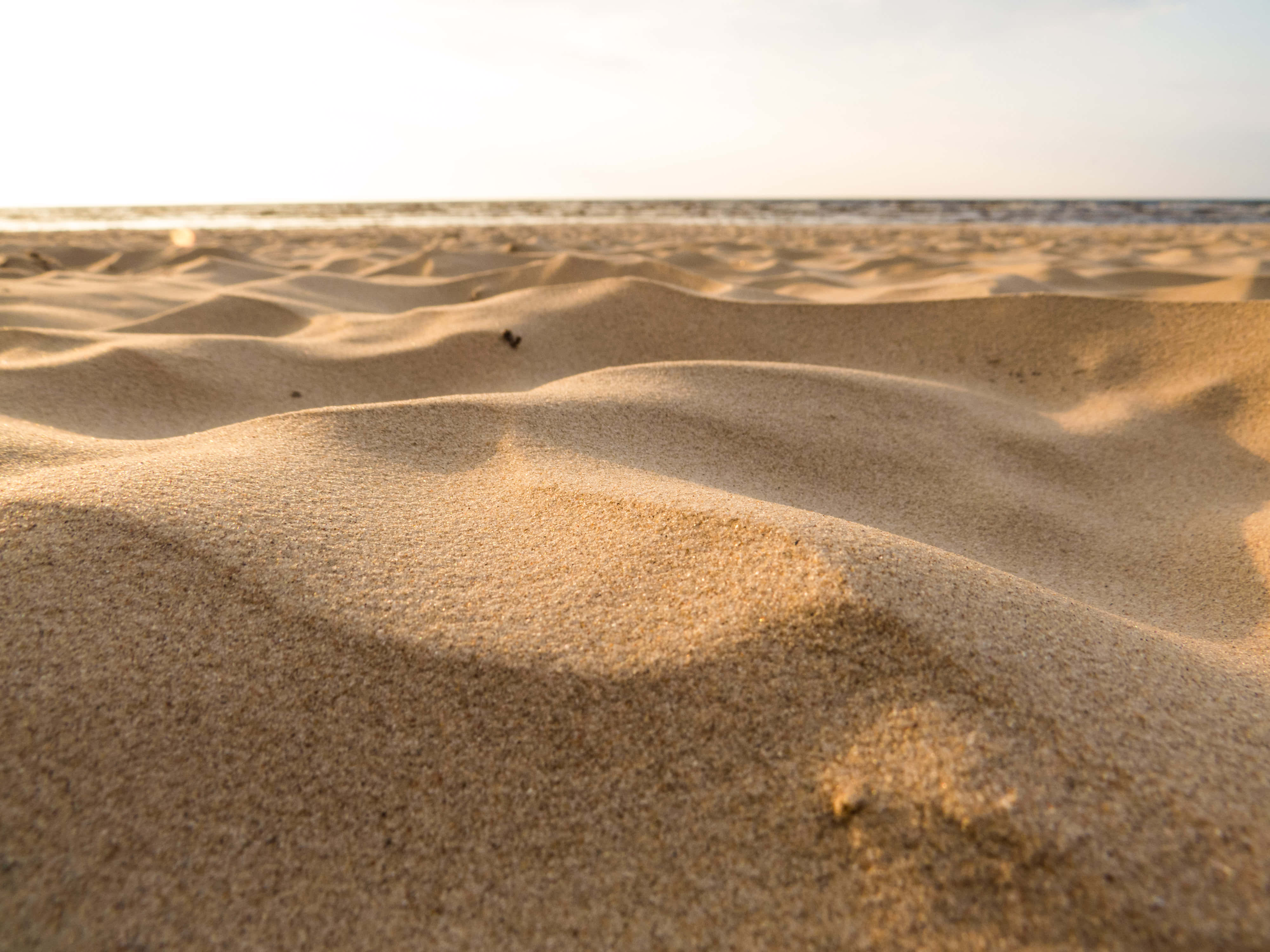 Beach Sand 桌布 壁紙 — 金色沙丘的微距特寫，紋理清晰，沐浴在溫暖的日出光中，海洋地平線呈現柔和焦點。
