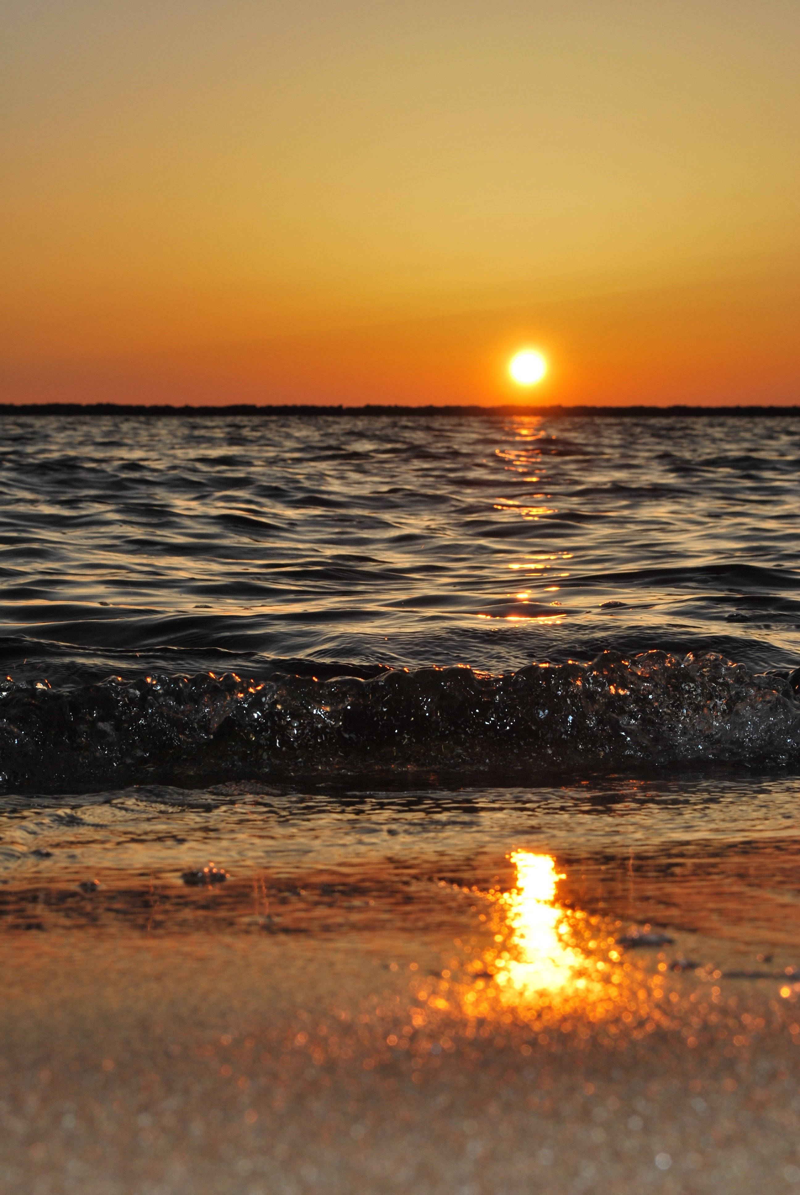 日落 桌布 壁紙 — 金色的夕陽在平靜的海浪上閃耀，沖刷著濕沙，映出閃爍的倒影。