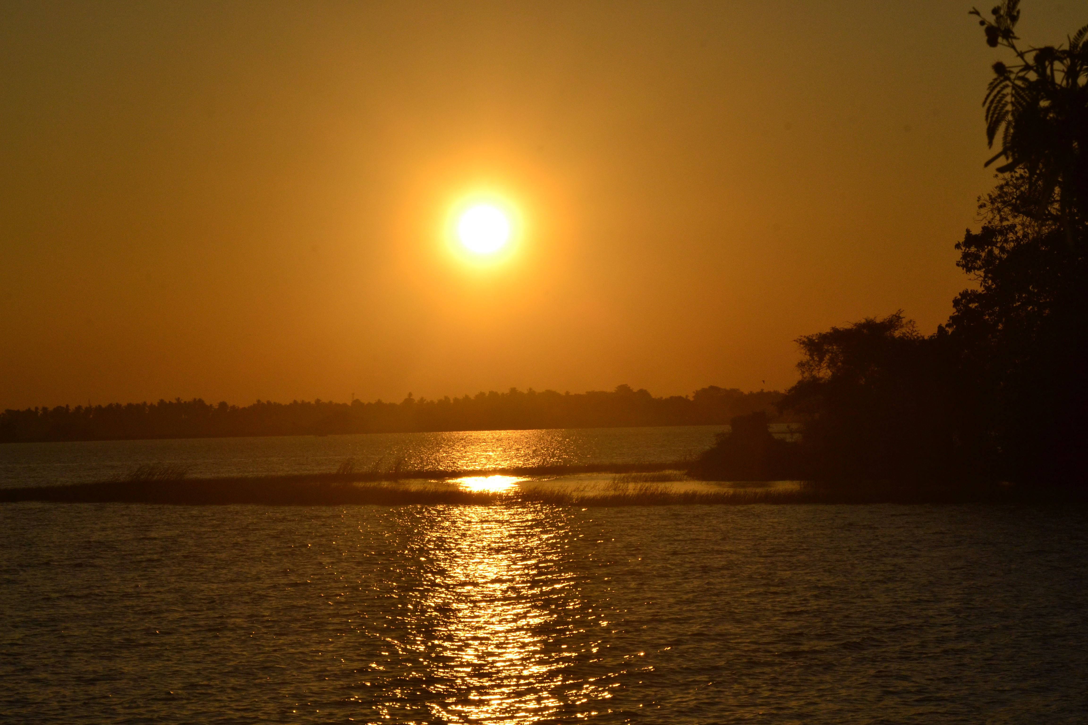 Scenery 桌布 壁紙 — 金色的夕陽在平靜的湖面上落下，在水面上投下閃爍的倒影，沿岸有剪影般的樹木。