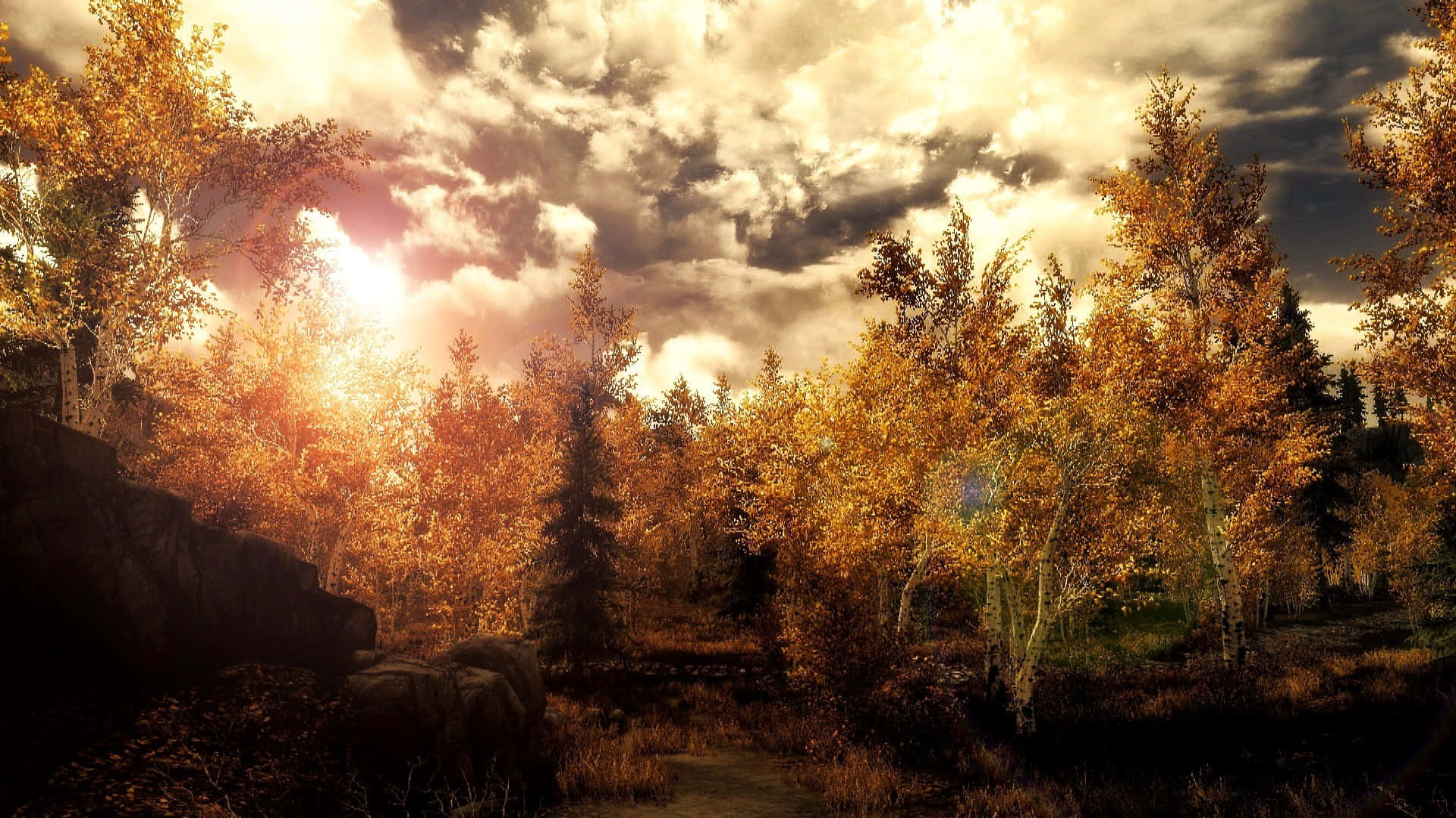 Skyrim Landscapes 桌布 壁紙 — 金色的秋樹在戲劇性的多雲天空下閃耀，陽光穿透森林樹冠。