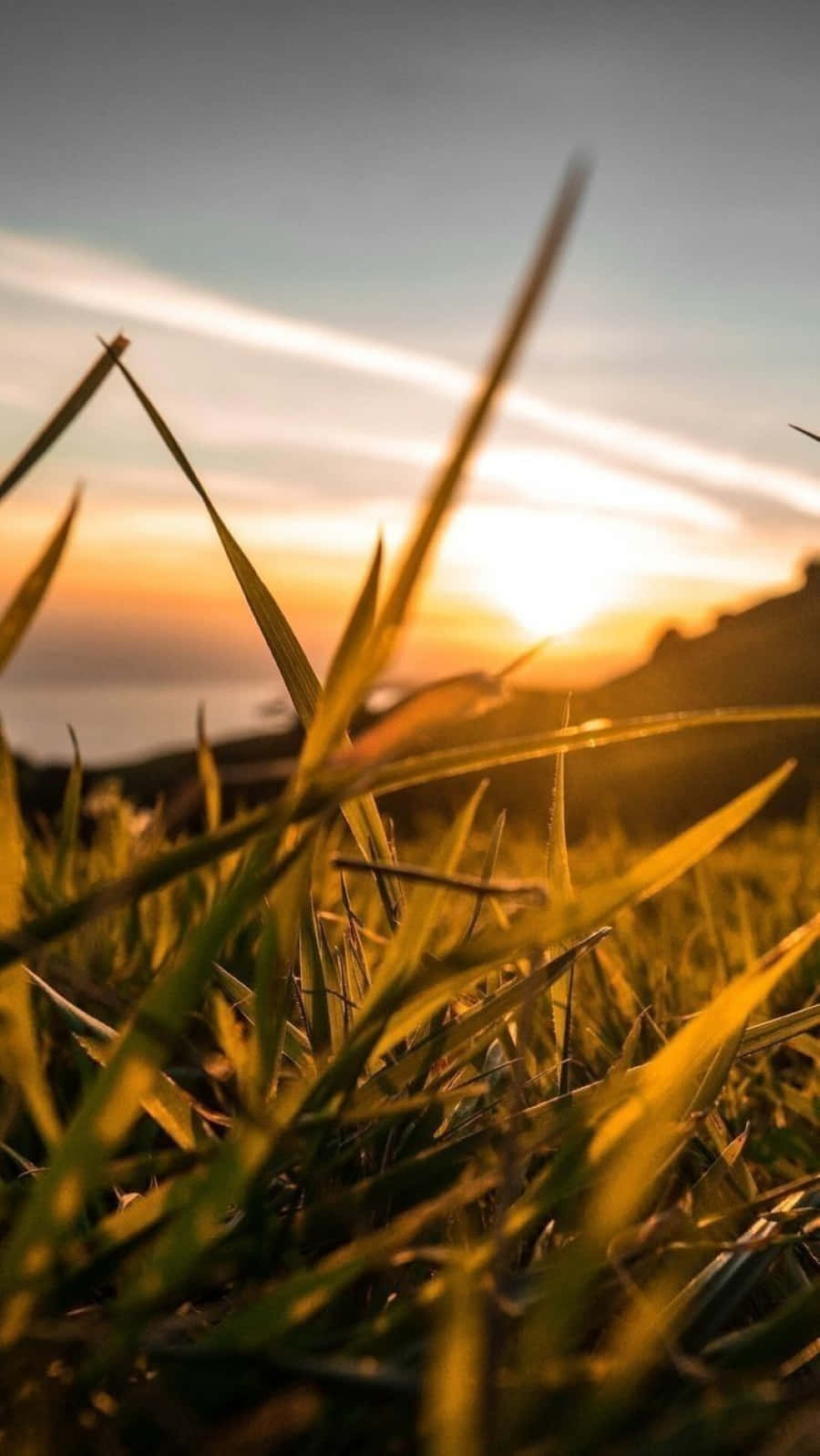 Sunset Photography 桌布 壁紙 — 金色的草葉框住了遠山之上溫暖的日落，伴隨著柔和的雲朵。