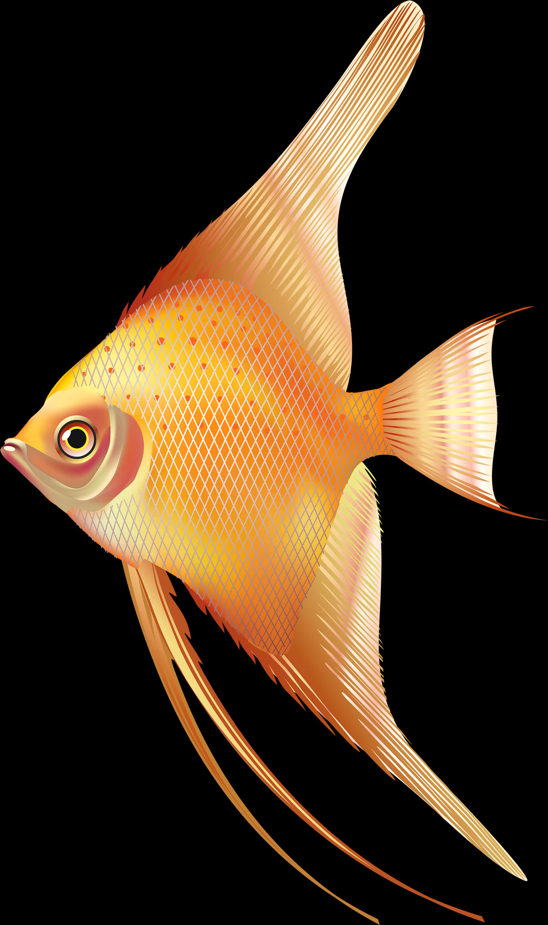 金色神仙魚插畫 壁紙