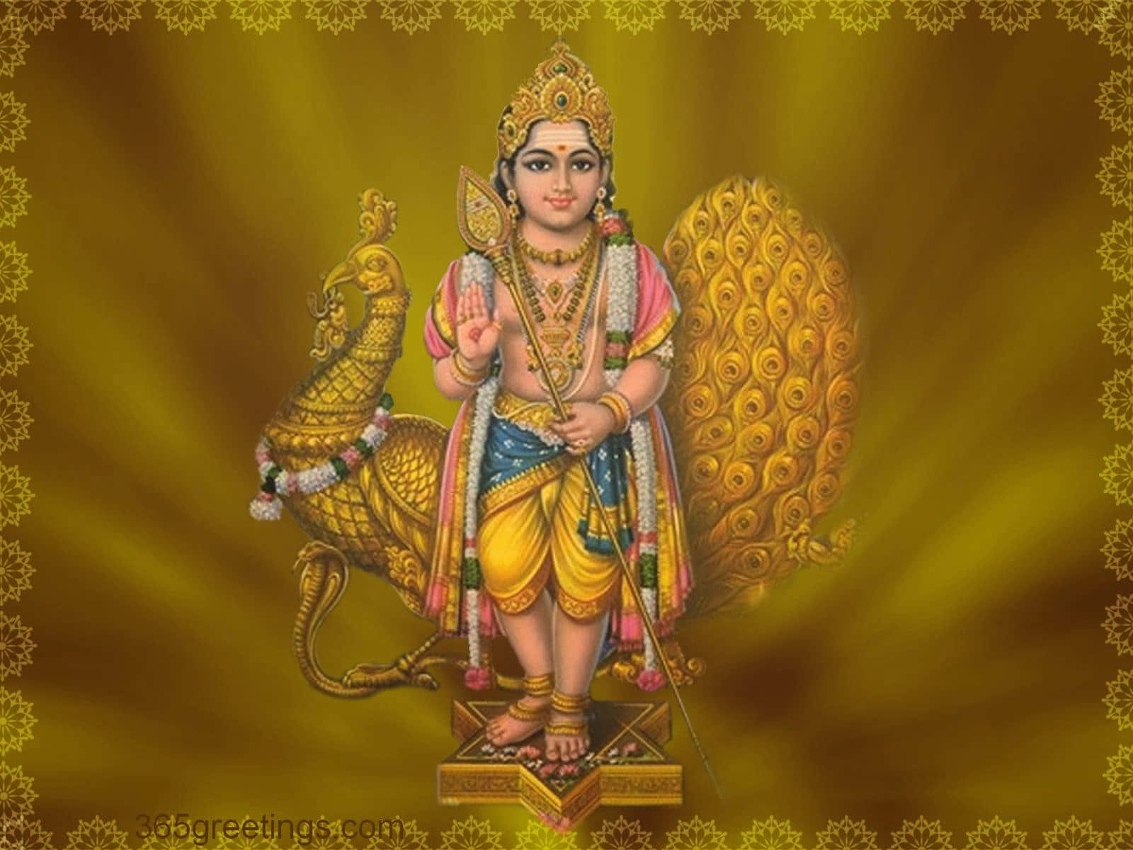Murugan 桌布 壁紙 — 金色神祇手持孔雀羽毛和權杖，在帶有花卉邊框的發光黃色背景上閃耀。