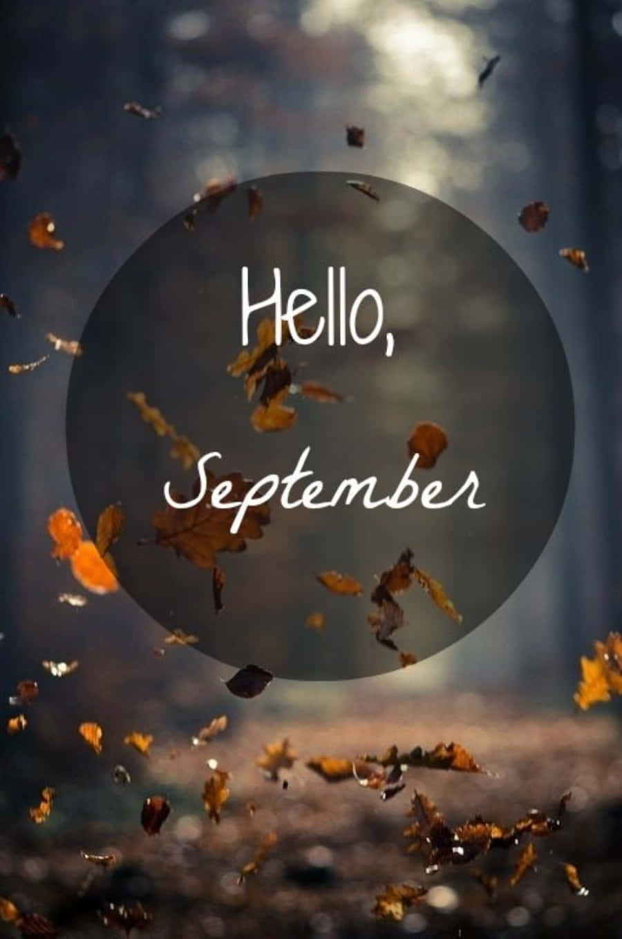 September 桌布 壁紙 — 金色秋葉圍繞一個深色圓圈旋轉，圓圈上有白色草書文字寫著「你好九月」，背景是模糊的森林。