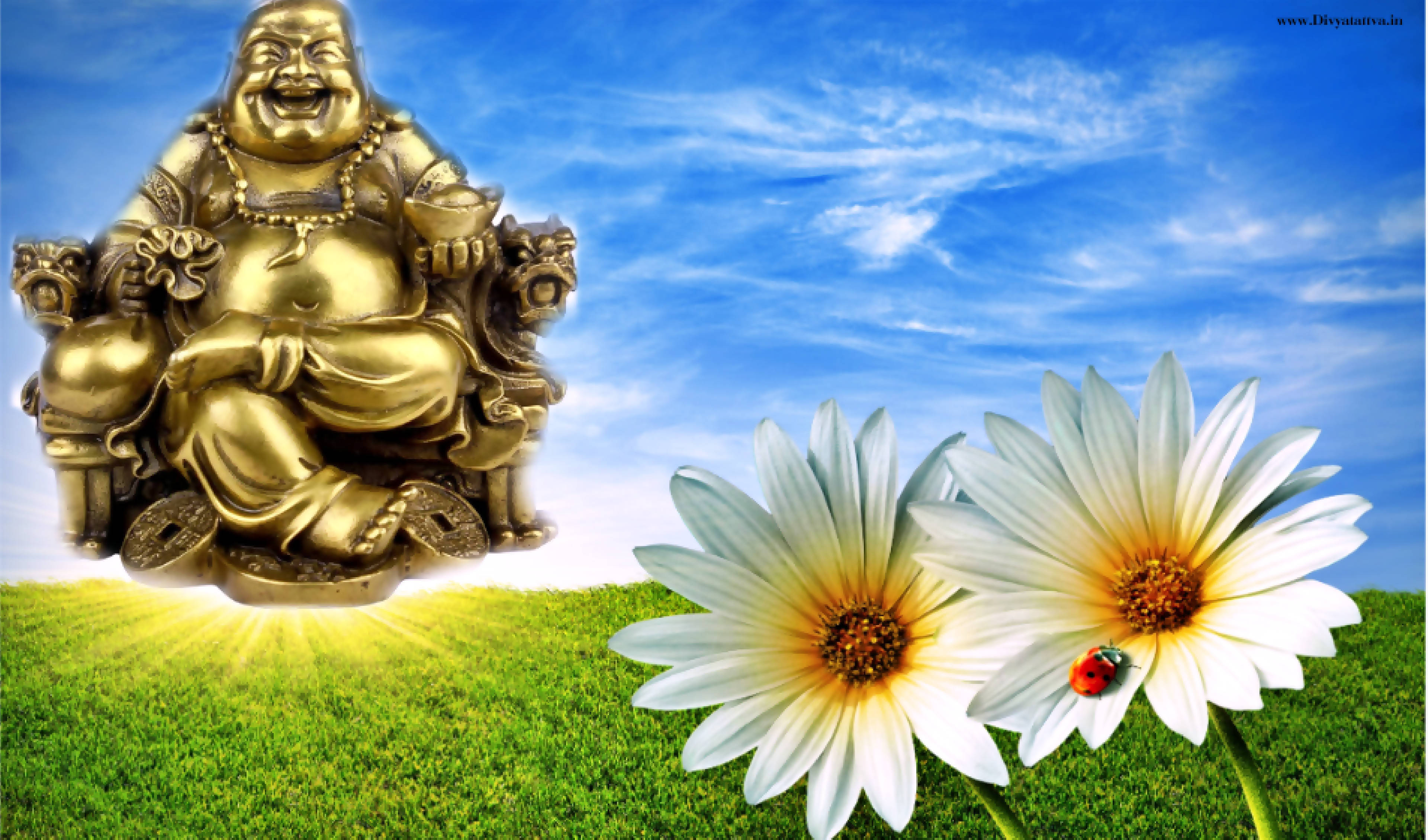 Buddha 桌布 壁紙 — 金色笑佛雕像坐在草地上，旁邊有白色雛菊和瓢蟲，在明亮的藍天下。