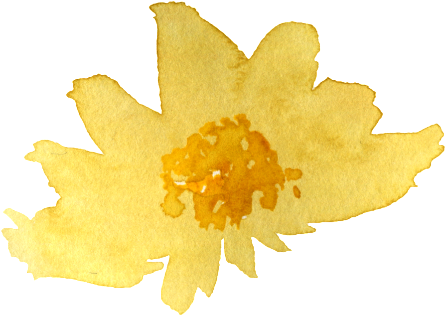 金色菊花水彩畫 壁紙 — 一朵溫暖黃色調的精緻水彩蒲公英花，在純黑背景上綻放。