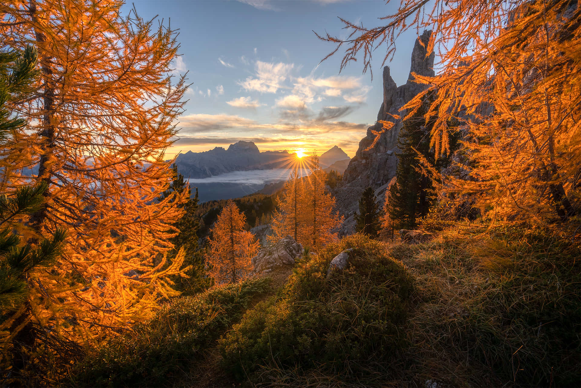 Fall Sunrise 桌布 壁紙 — 金色落葉松樹在日落時分襯托出陽光穿過鋸齒狀山峰，下方有薄霧。