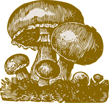 金色蘑菇插圖 壁紙