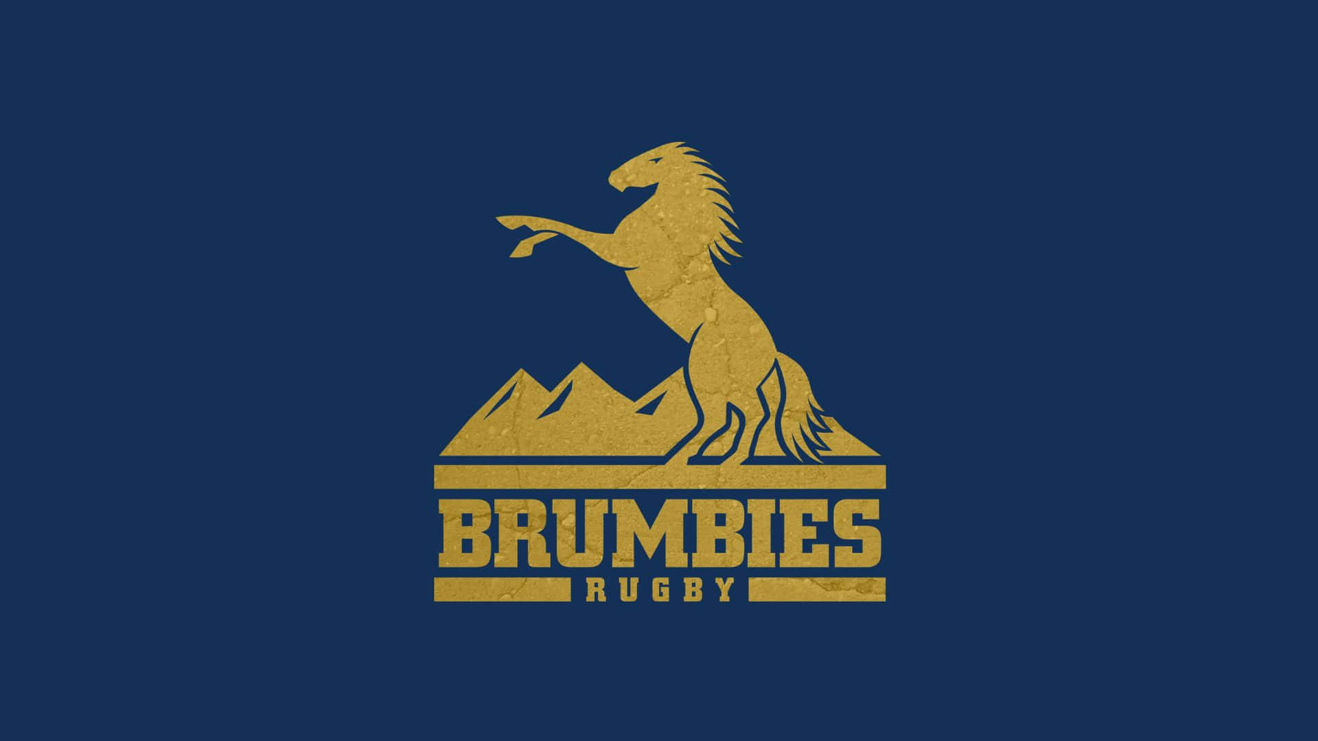 Brumbies 桌布 壁紙 — 金色躍立馬標誌位於山頂之上，配以深藍色背景上的'BRUMBIES RUGBY'文字。