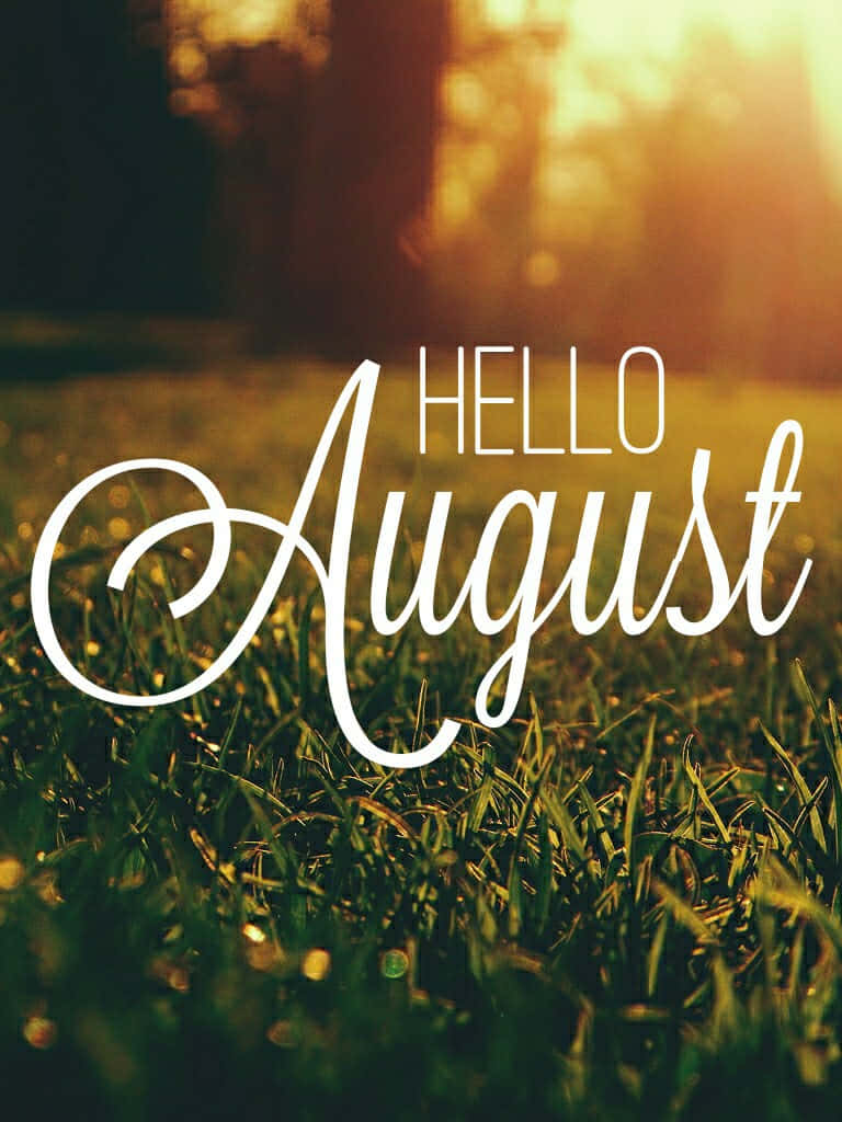 August 桌布 壁紙 — 金色陽光穿過樹木，灑在茂密的綠草上，並帶有優雅的白色「你好八月」文字疊加。
