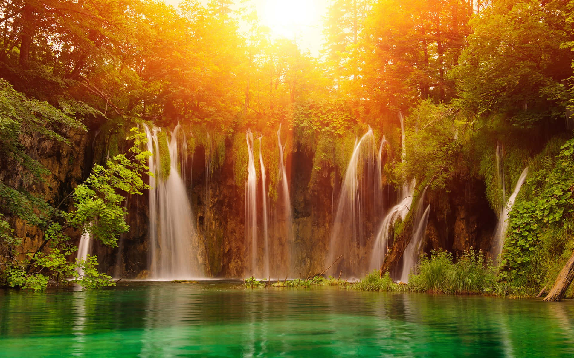Nature Scenery 桌布 壁紙 — 金色陽光穿過茂密樹林，灑落在層疊瀑布之上，流入充滿活力的碧綠水池。