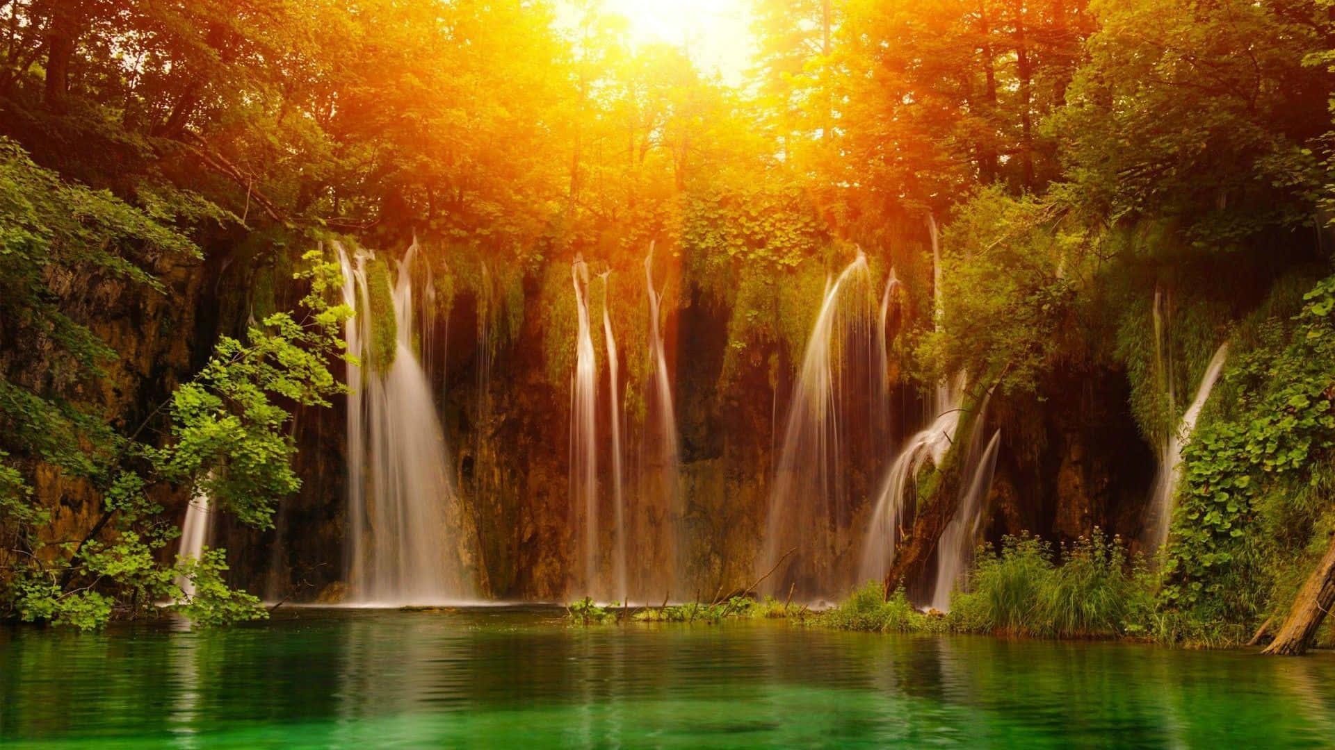 Waterfalls 桌布 壁紙 — 金色陽光穿過茂密的森林樹冠，照射在層疊的瀑布上，流入充滿活力的翡翠綠水池。