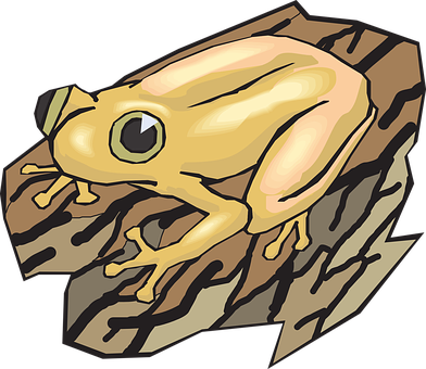 金色青蛙插畫 壁紙