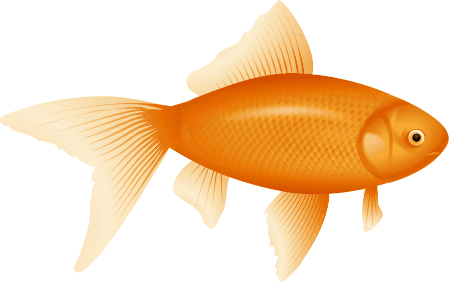 金色魚插圖 壁紙