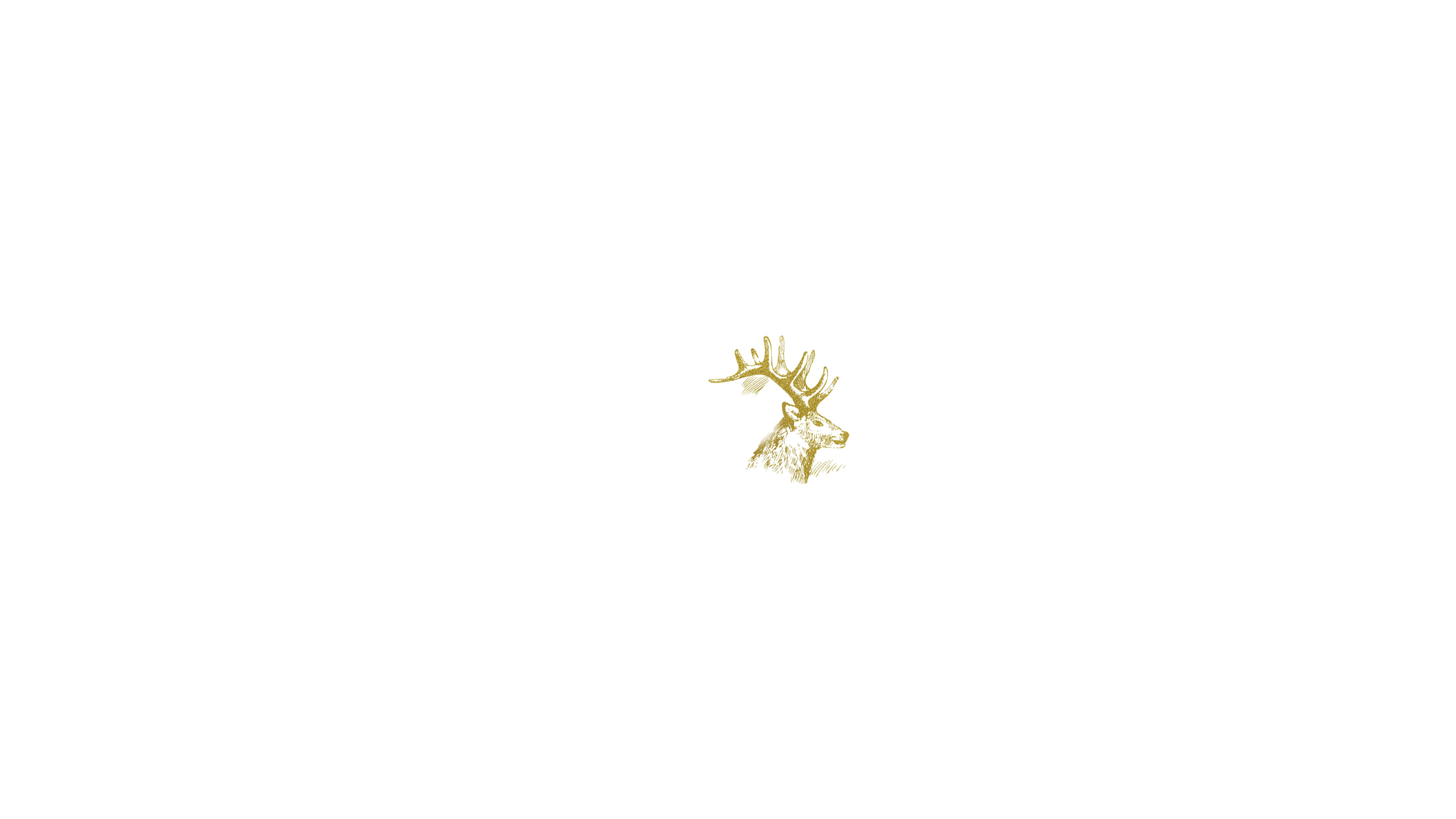 金色鹿頭在白色背景上 壁紙