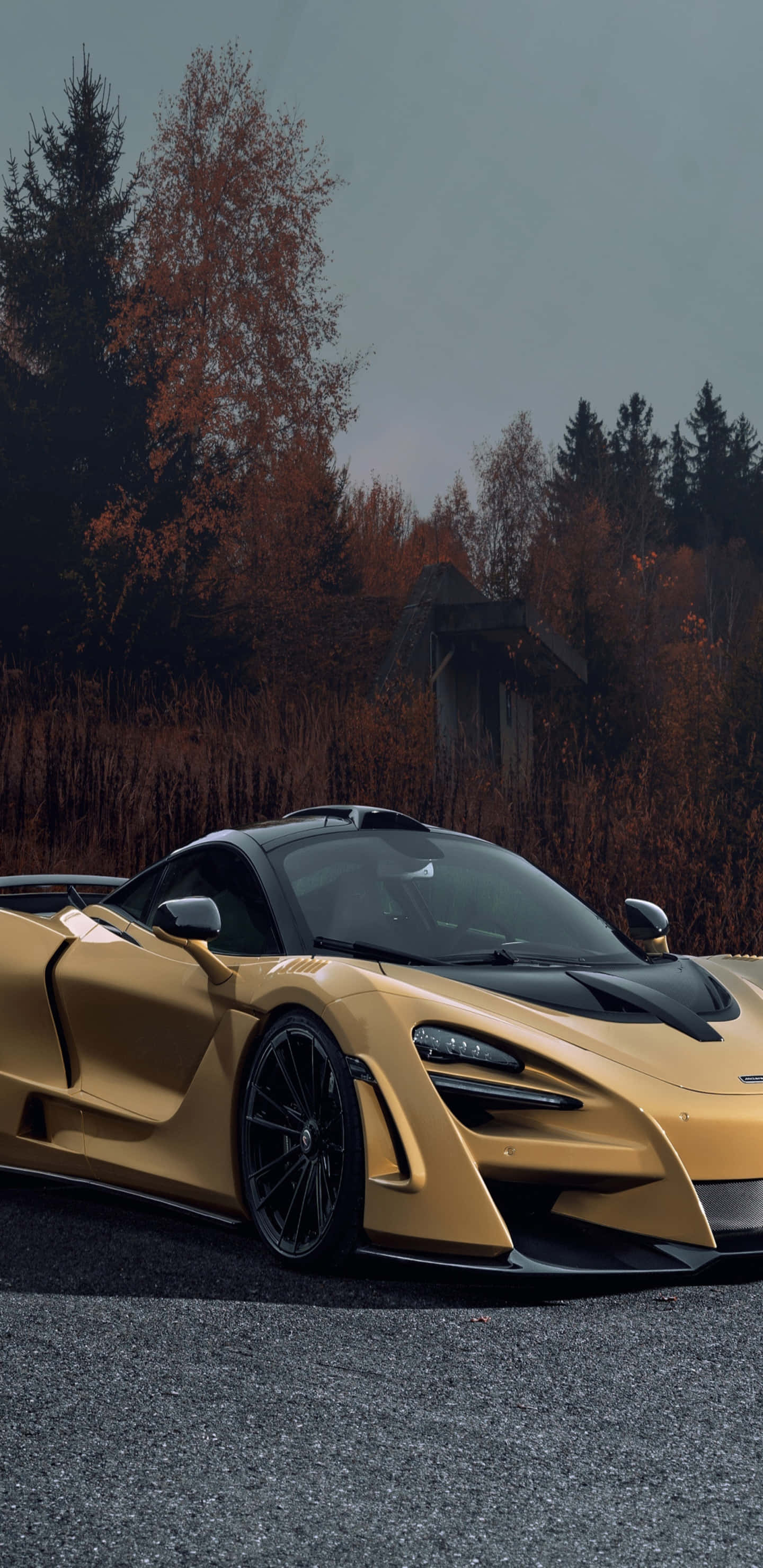 金色麥拉倫720S搭配高大樹林像素3XL背景 壁紙 — 一輛金色McLaren Senna跑車停在碎石路上，背景有秋樹和霧中的小屋。
