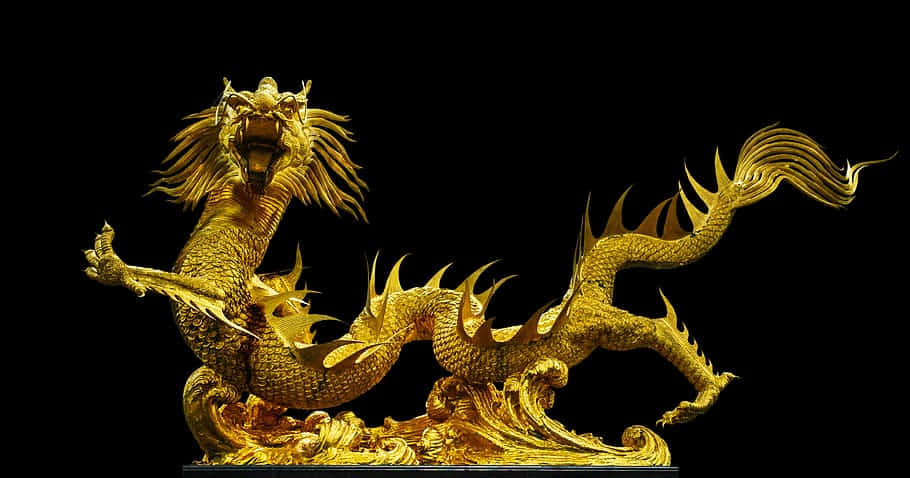 金色龍背景 壁紙