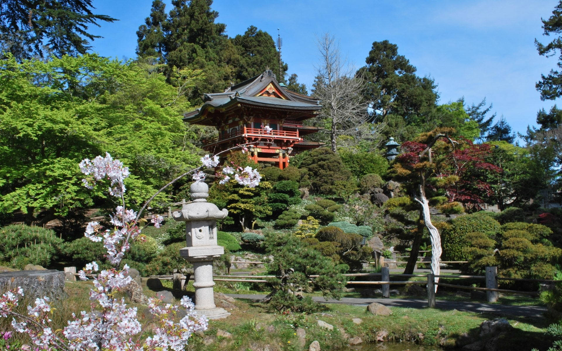 傳統日本花園 寶塔 櫻花 石燈籠