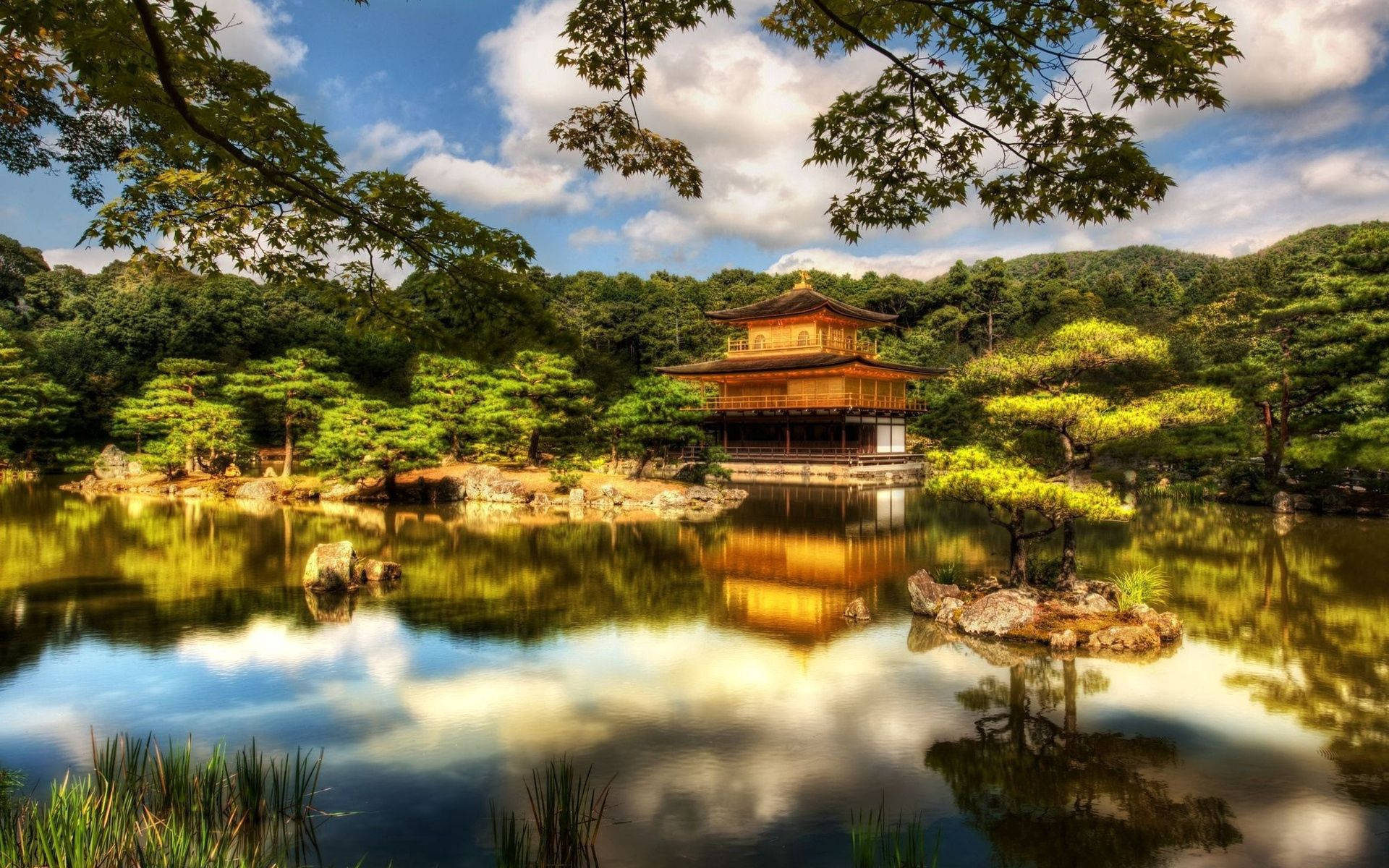 金色寺廟倒映在寧靜的池塘中，周圍綠意盎然。