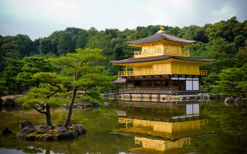 金閣寺在寧靜水面中的倒影 壁紙 — 金色的金閣寺在柔和日光下，完美倒映在平靜的池塘中，四周環繞著茂密的綠樹。
