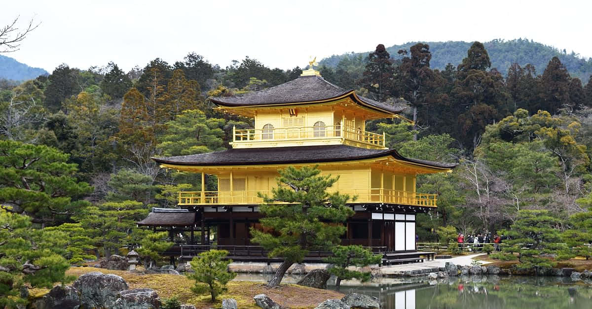 金閣寺的日出美景 壁紙 — 金色金閣寺在陰天之下閃耀，周圍環繞著茂密的綠樹和寧靜的池塘。