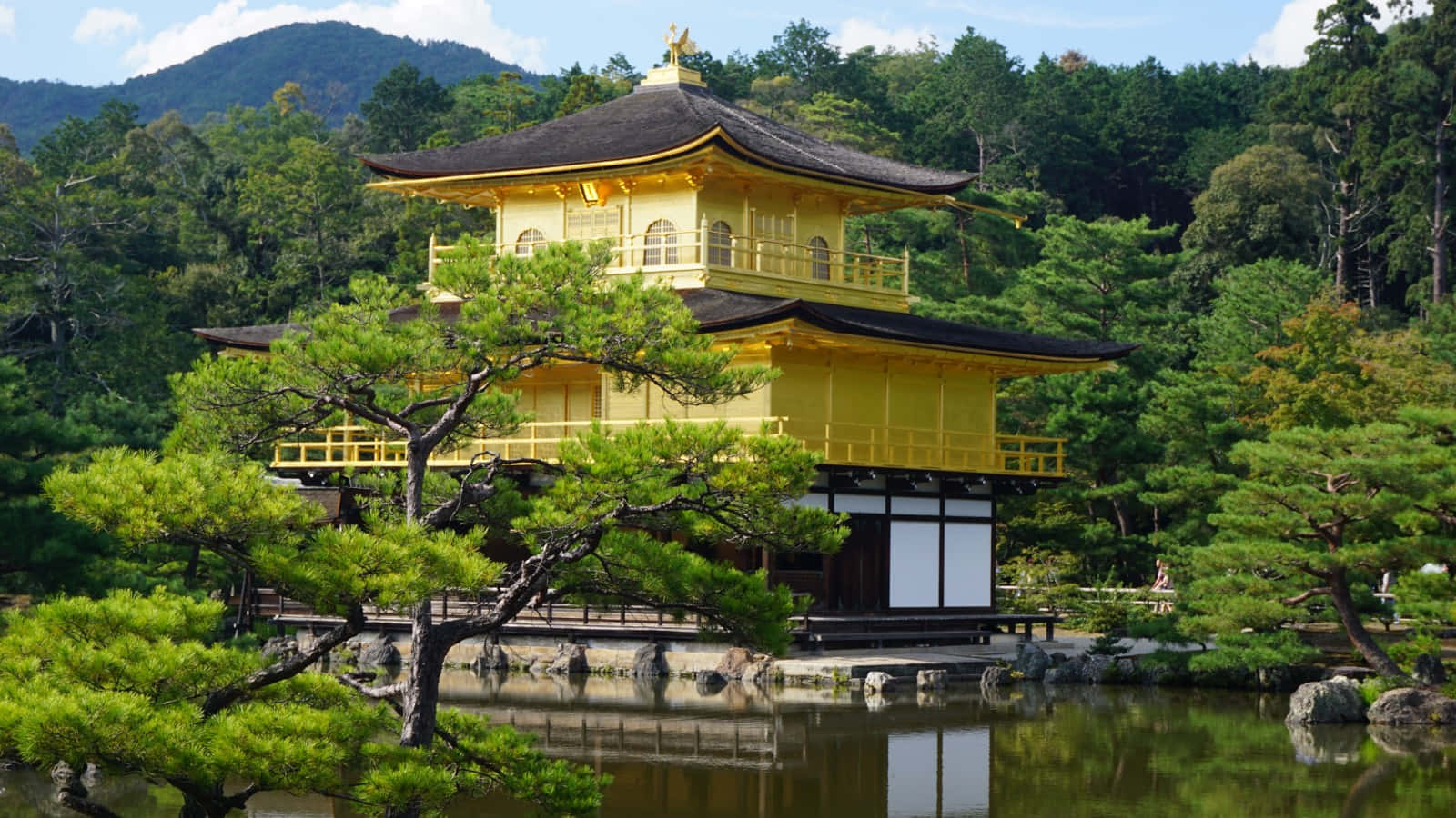 金閣寺與寧靜園林 壁紙 — 金色的金閣寺倒映在平靜的水面上，周圍是茂密的綠樹和遠處的山脈，在明亮的藍天下。