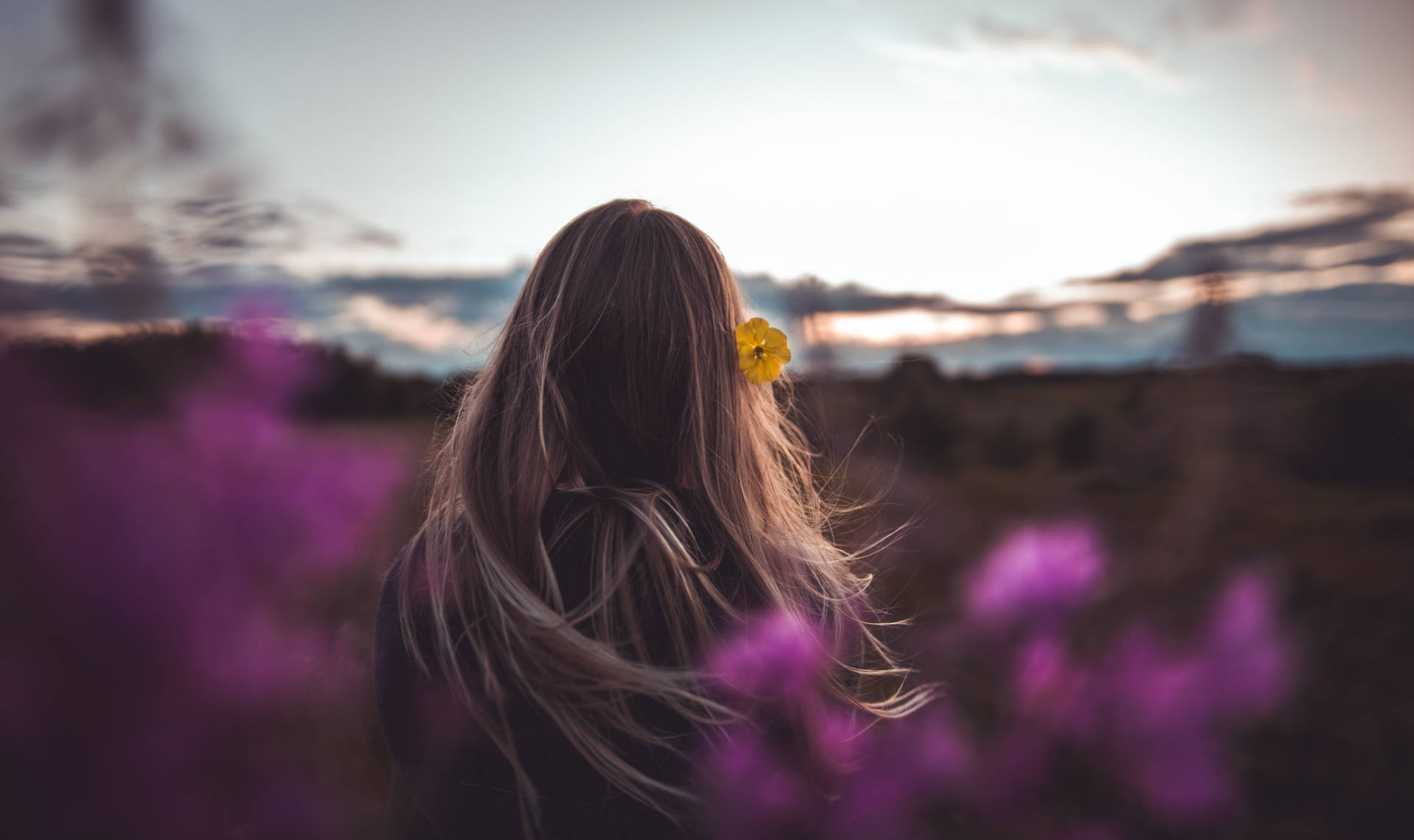 女子頭戴黃花，站在夕陽下的紫色花田中。
