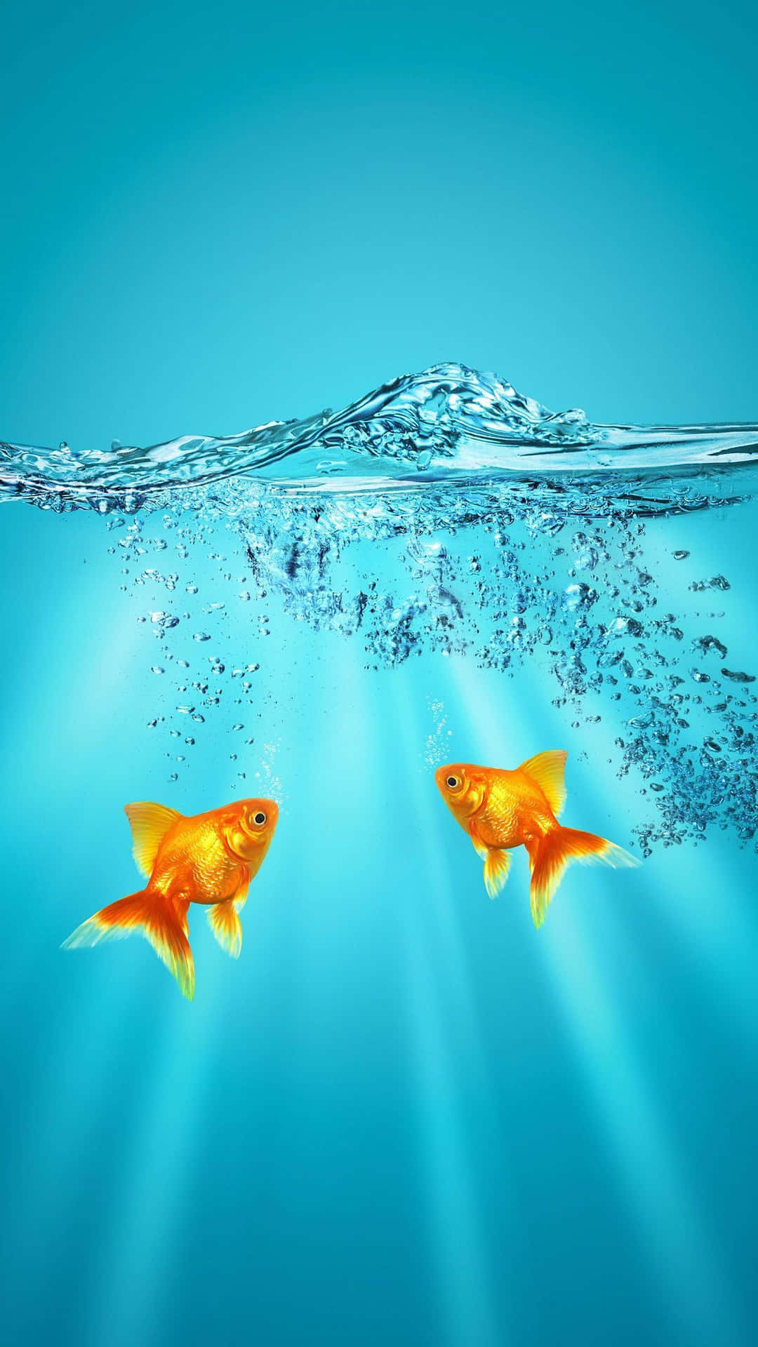 兩條金魚在水中游泳，有陽光光束和上升的氣泡。
