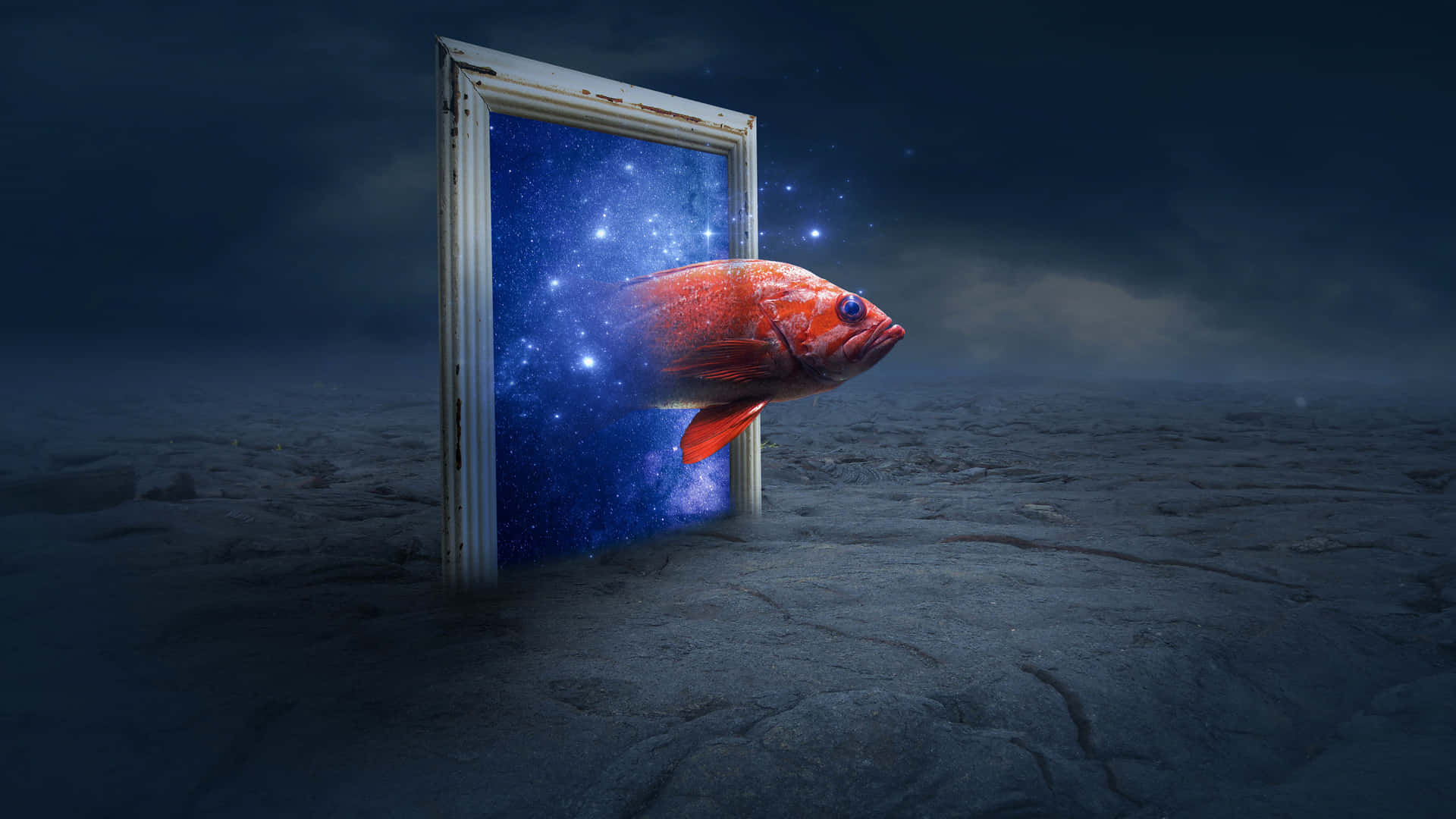 一條紅魚從門中出現，進入繁星點點的夜空。