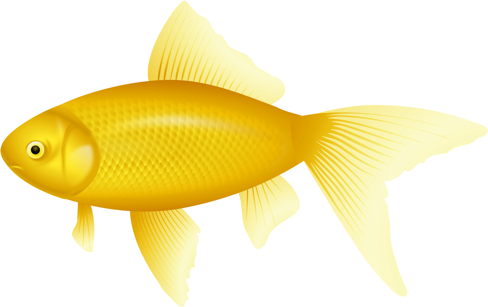 金魚插圖 壁紙