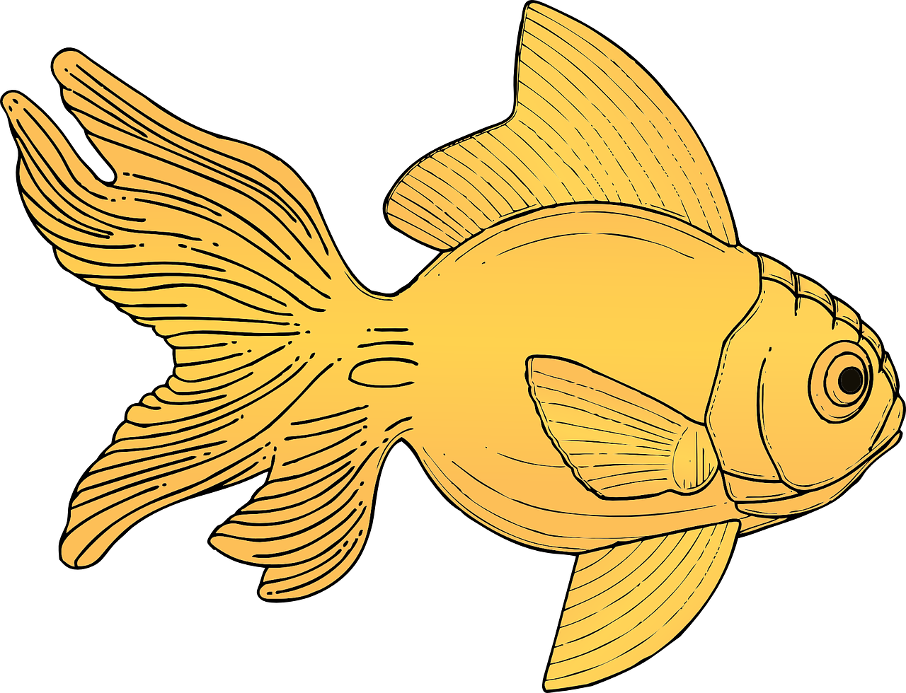 金魚插畫藝術作品 壁紙