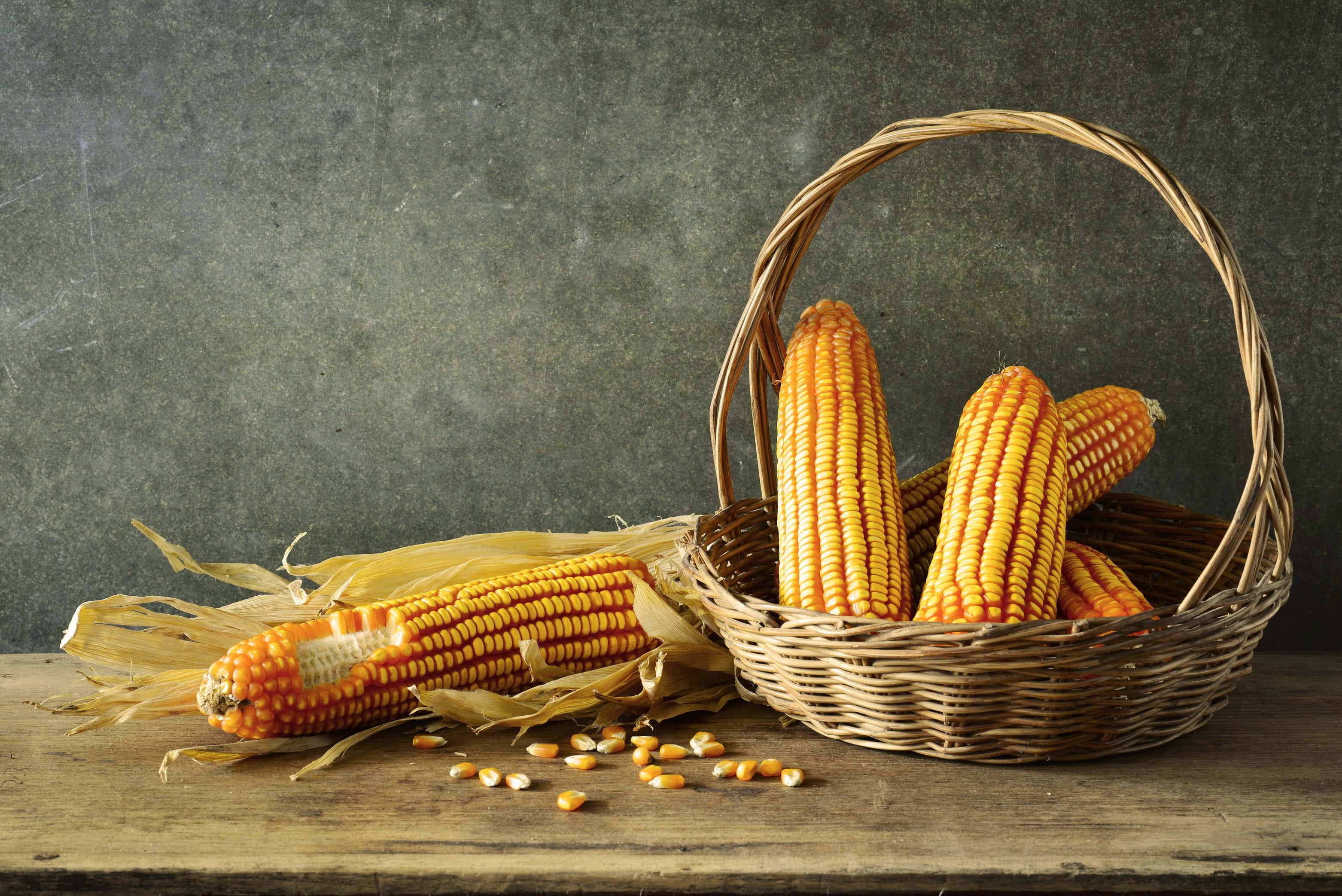 Yellow Corn 桌布 壁紙 — 金黃色的玉米棒放在編織籃中，灑落在質感灰色背景前的質樸木桌上。