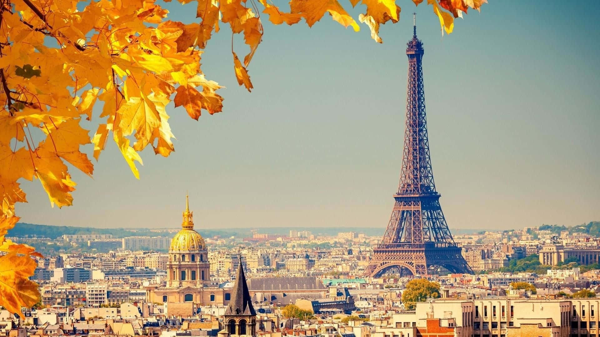 french 桌布 壁紙 — 金黃色的秋葉框出巴黎的全景，艾菲爾鐵塔和金色圓頂在清澈藍天下聳立於城市景觀之上。