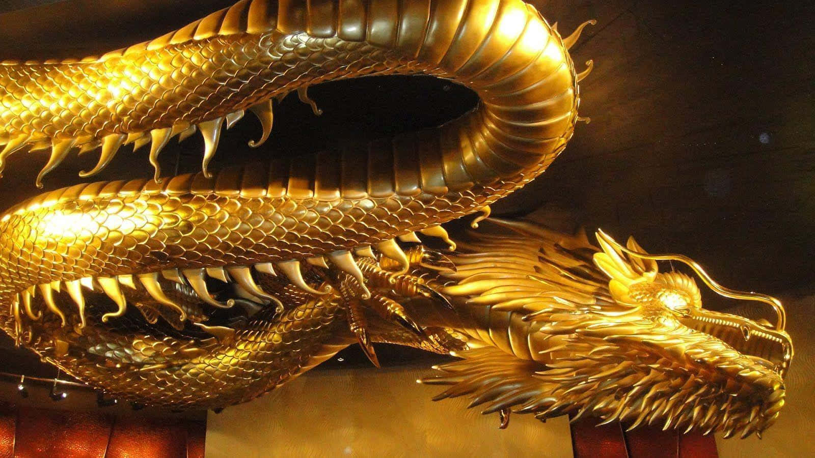 金龍背景 壁紙