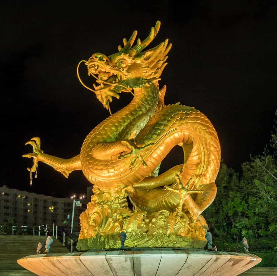 金龍背景 壁紙