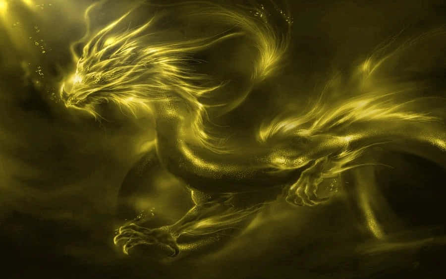 金龍背景 壁紙