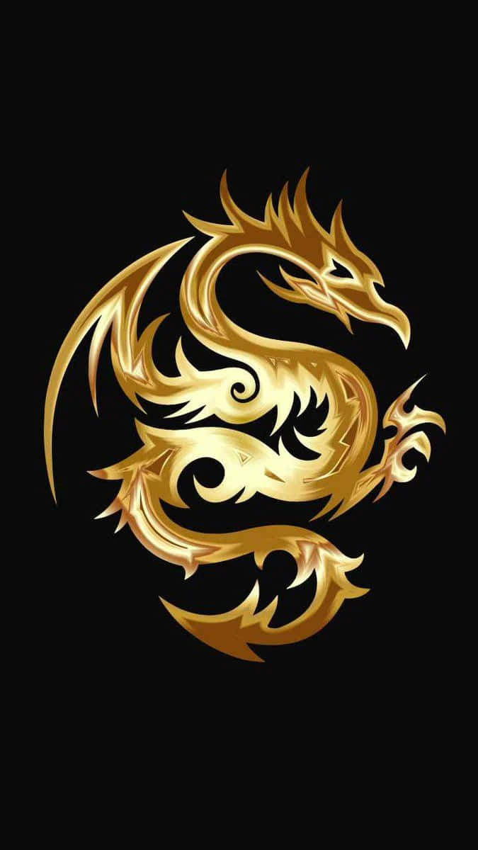 金龍背景 壁紙