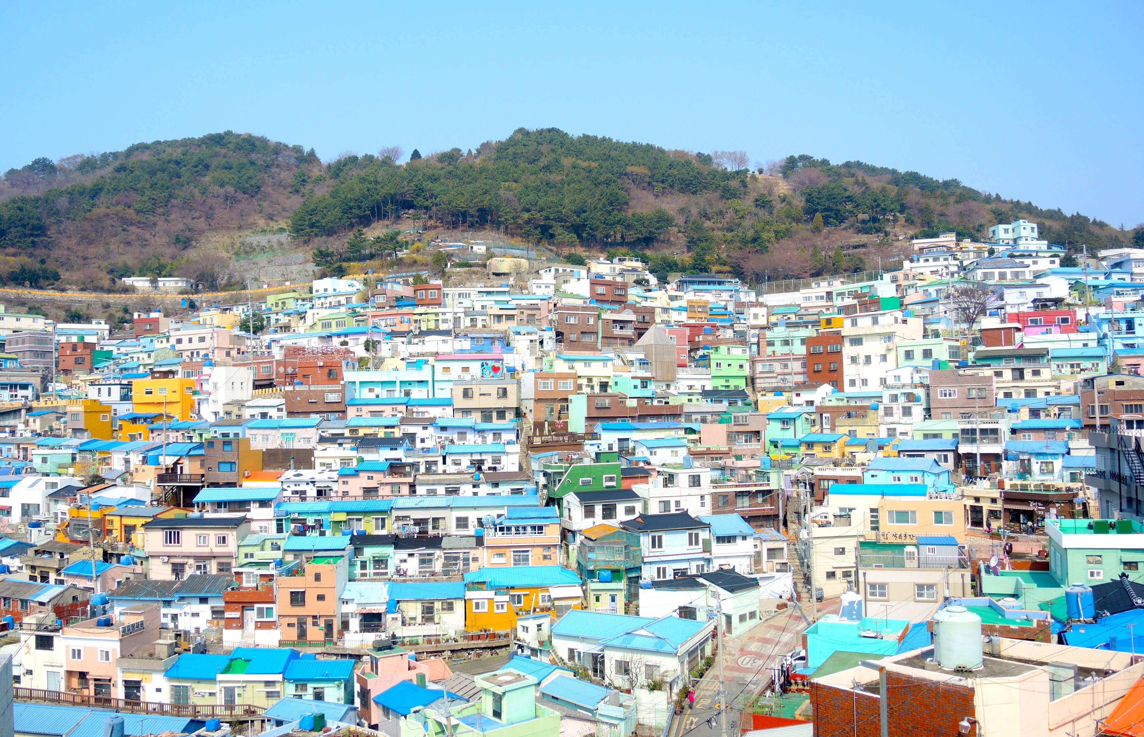釜山住宅區 壁紙 — 色彩繽紛的房屋密集地排列在陽光明媚的山坡上，天空清澈湛藍。