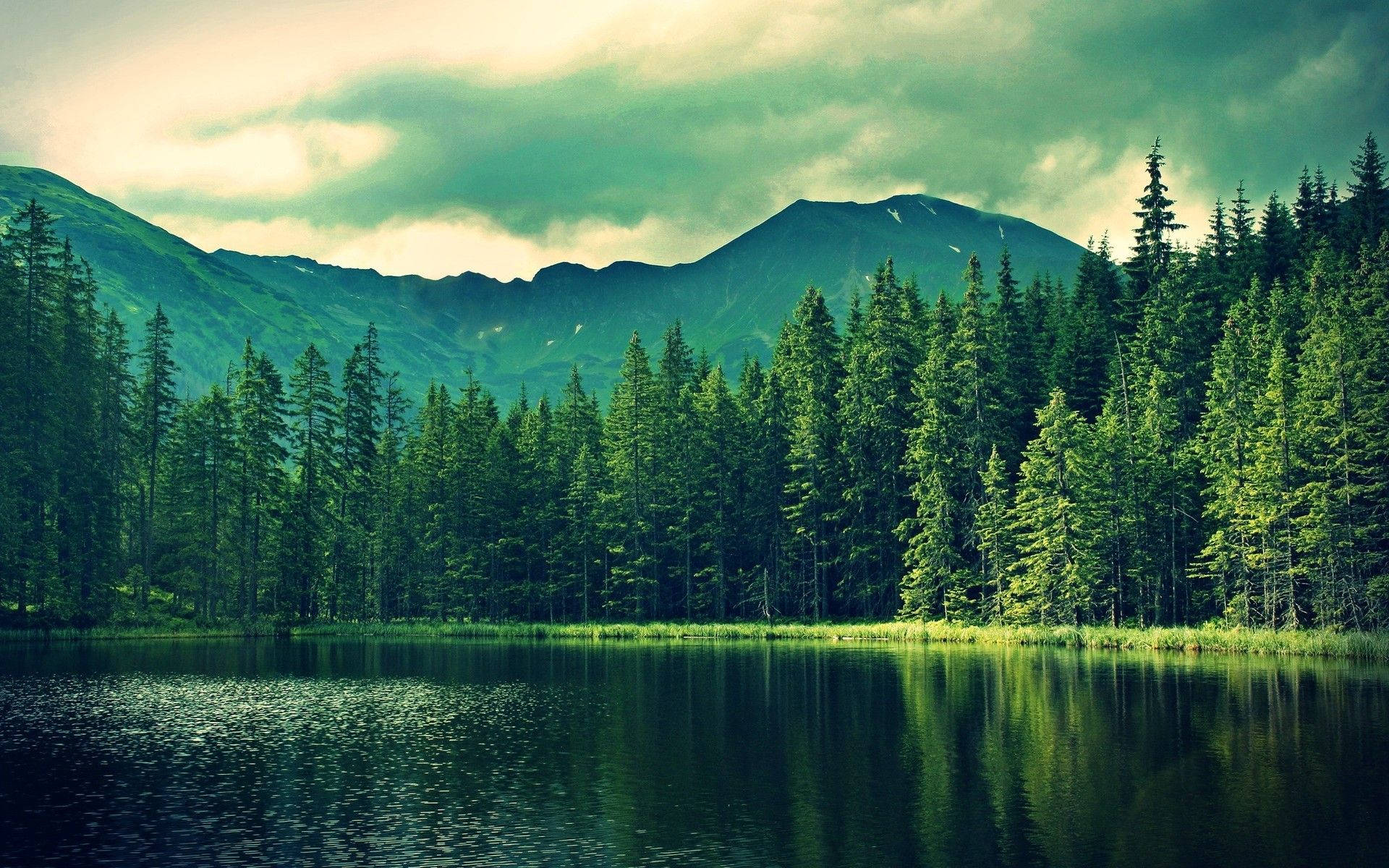 陰天下被常綠森林環繞的寧靜山間湖泊
